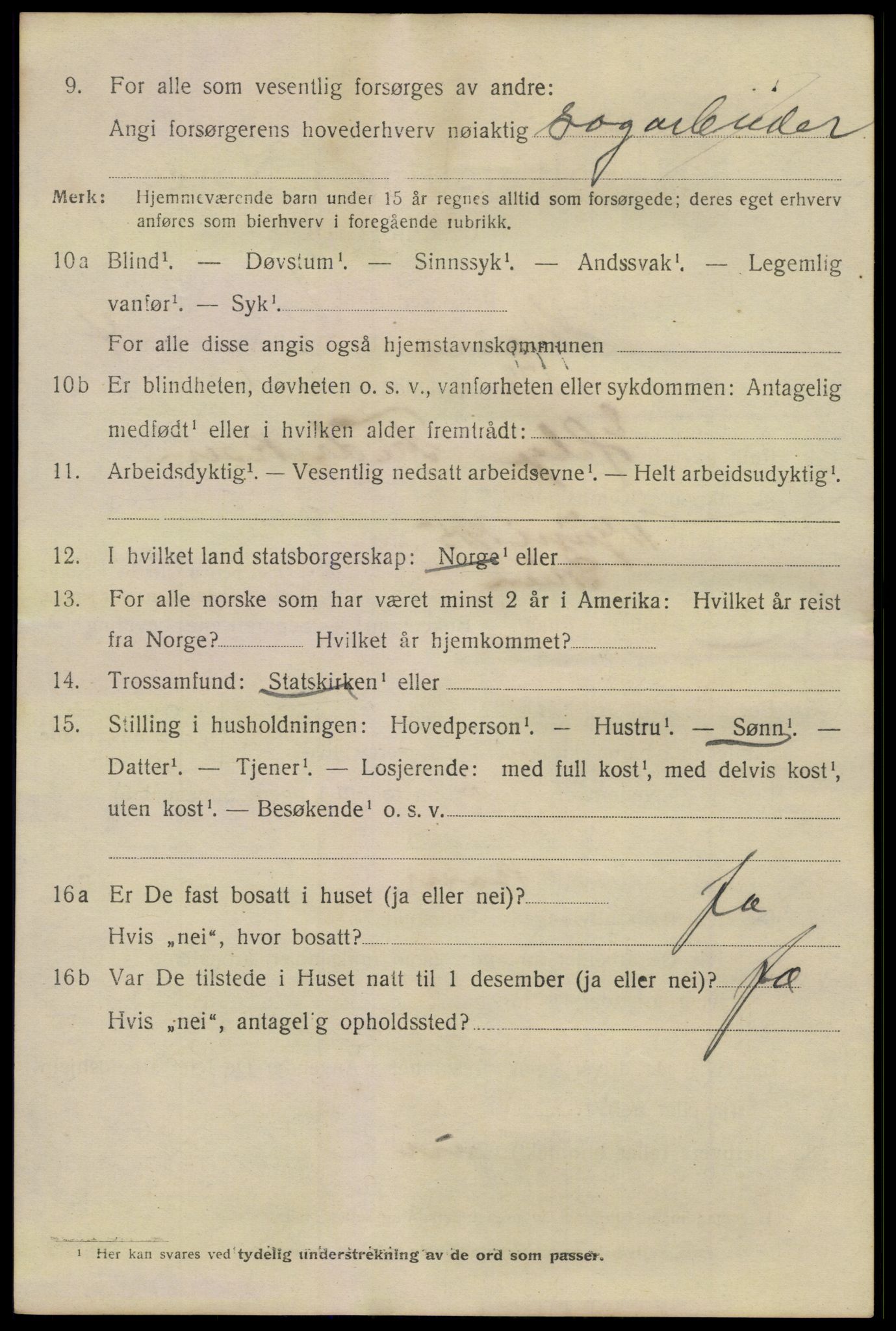 SAKO, 1920 census for Skien, 1920, p. 19485