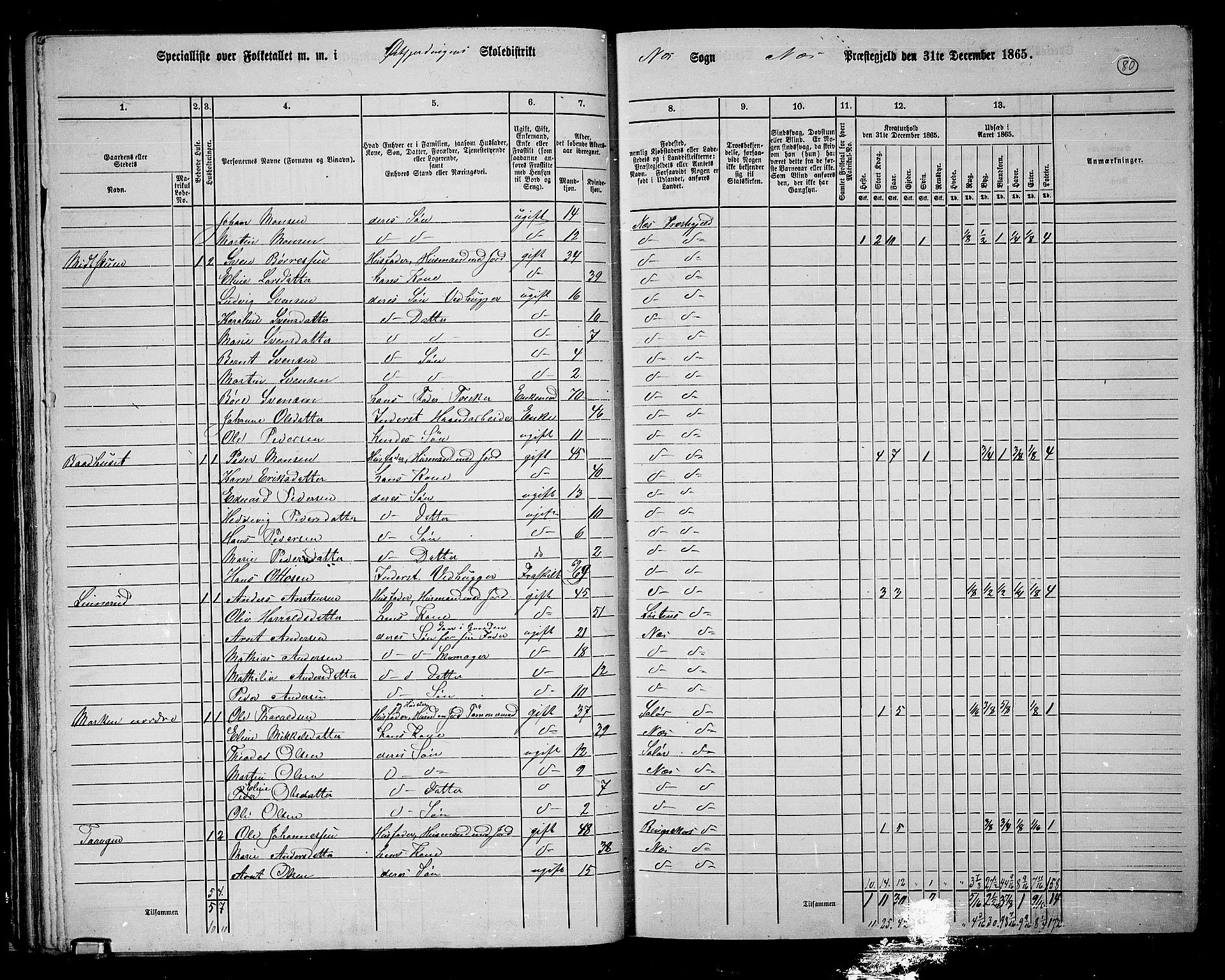 RA, 1865 census for Nes, 1865, p. 68