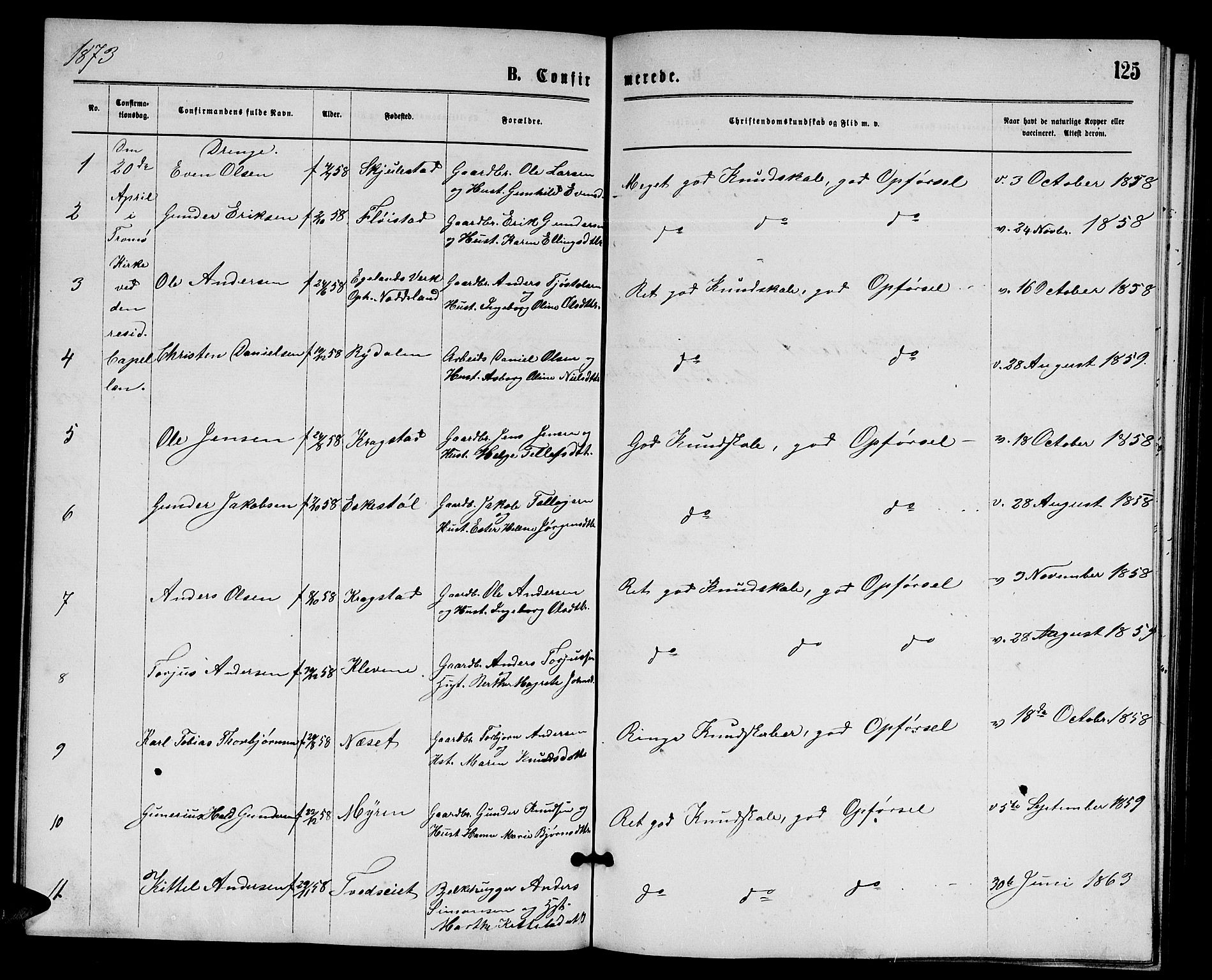 Austre Moland sokneprestkontor, AV/SAK-1111-0001/F/Fb/Fba/L0002: Parish register (copy) no. B 2, 1869-1879, p. 125