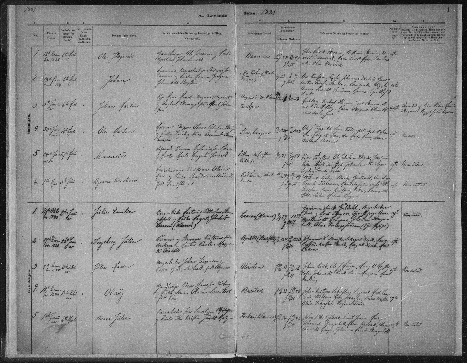 Ministerialprotokoller, klokkerbøker og fødselsregistre - Nord-Trøndelag, SAT/A-1458/722/L0220: Parish register (official) no. 722A07, 1881-1908, p. 1