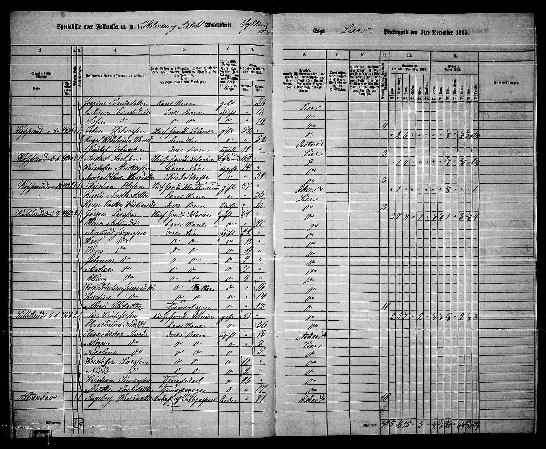 RA, 1865 census for Lier, 1865, p. 248