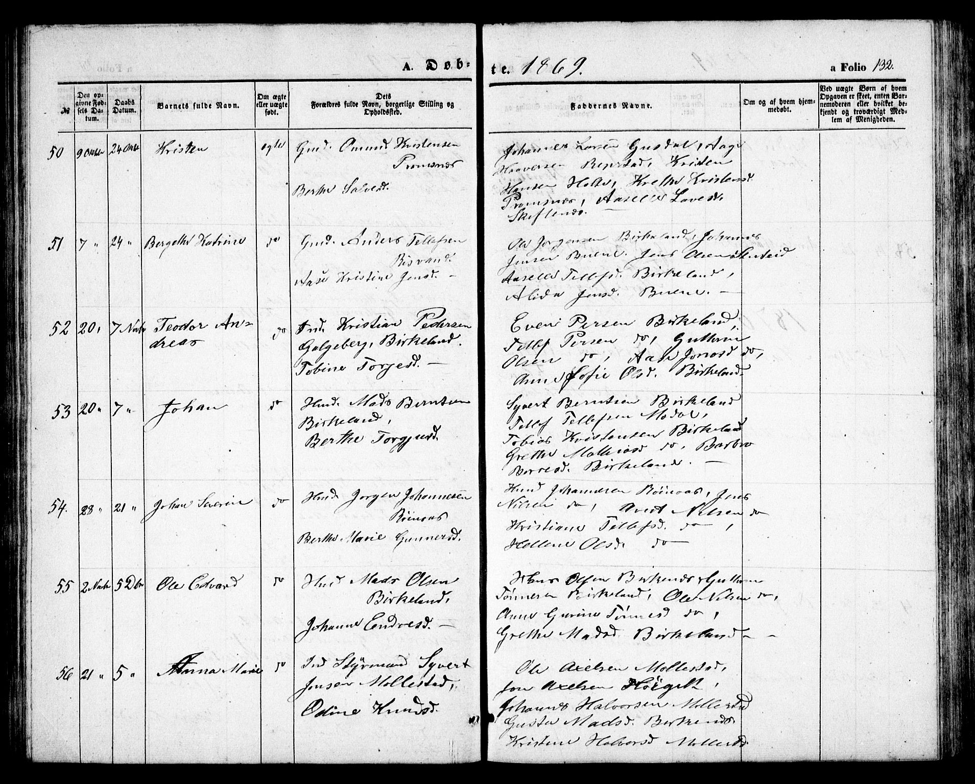 Birkenes sokneprestkontor, AV/SAK-1111-0004/F/Fb/L0002: Parish register (copy) no. B 2, 1849-1876, p. 132