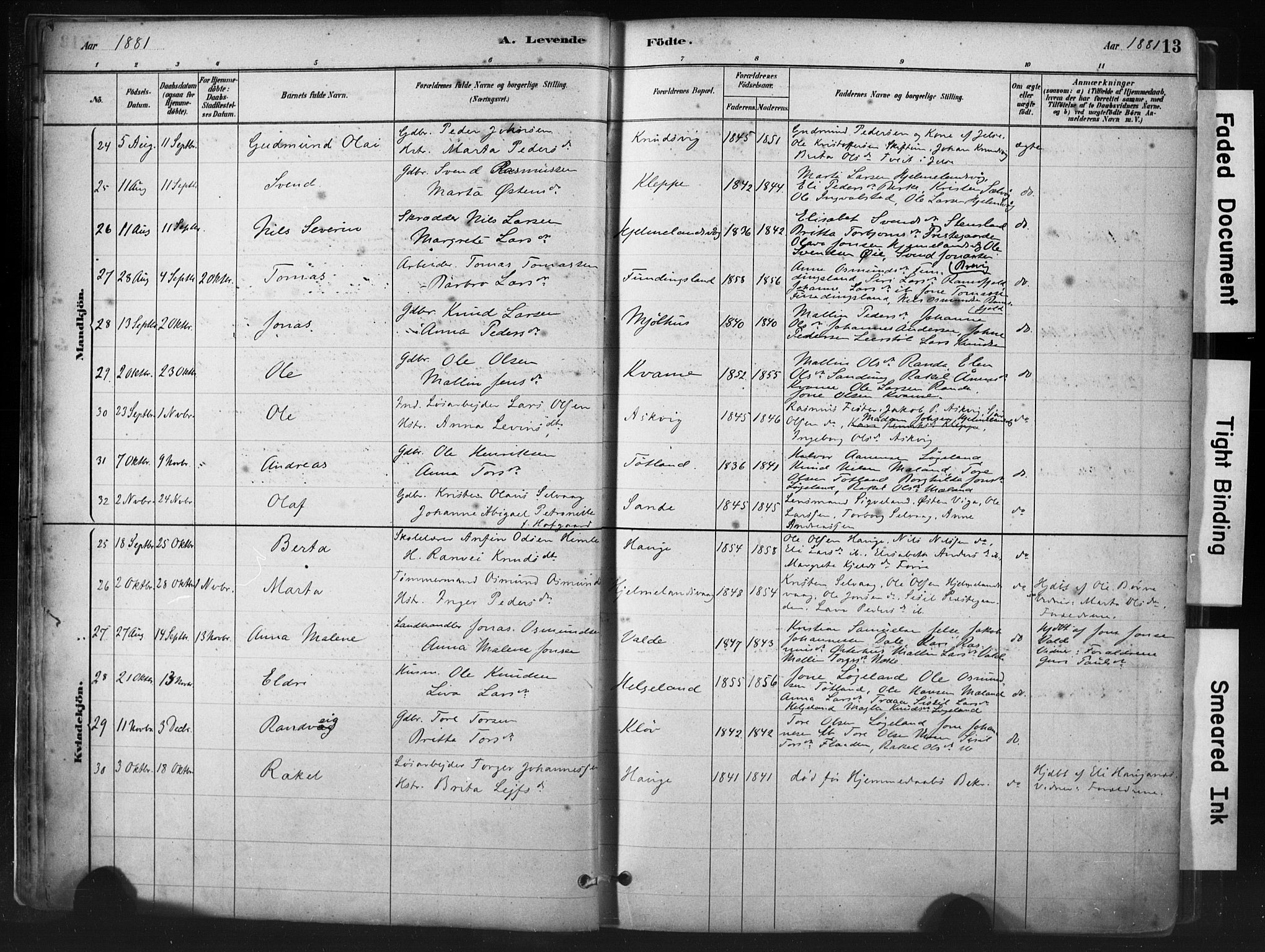 Hjelmeland sokneprestkontor, AV/SAST-A-101843/01/IV/L0014: Parish register (official) no. A 14, 1879-1900, p. 13