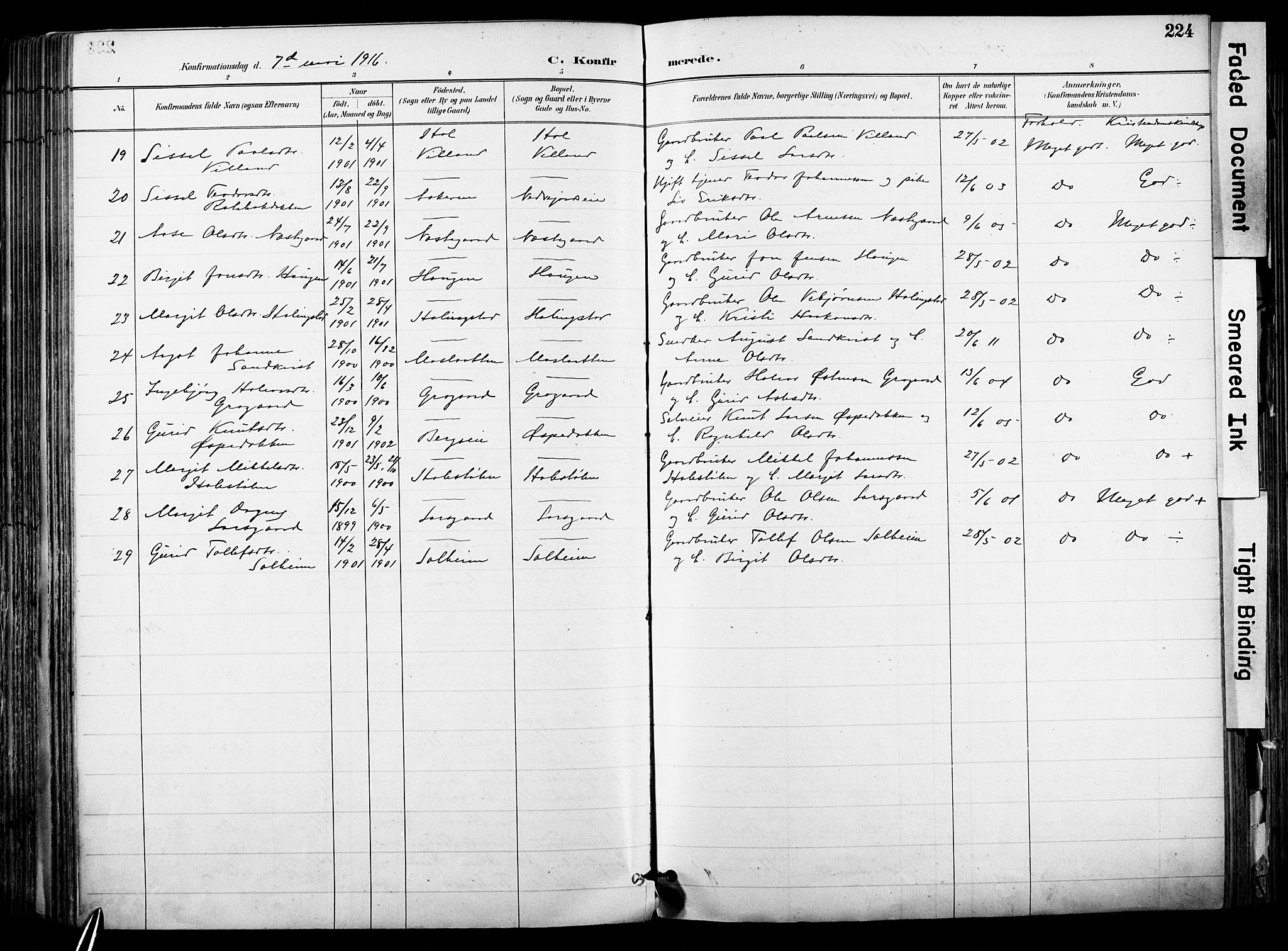 Hol kirkebøker, AV/SAKO-A-227/F/Fa/L0003: Parish register (official) no. I 3, 1887-1918, p. 224