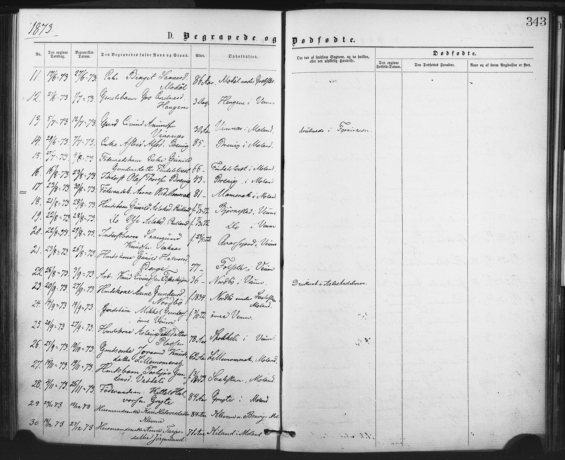Fyresdal kirkebøker, SAKO/A-263/F/Fa/L0006: Parish register (official) no. I 6, 1872-1886, p. 343