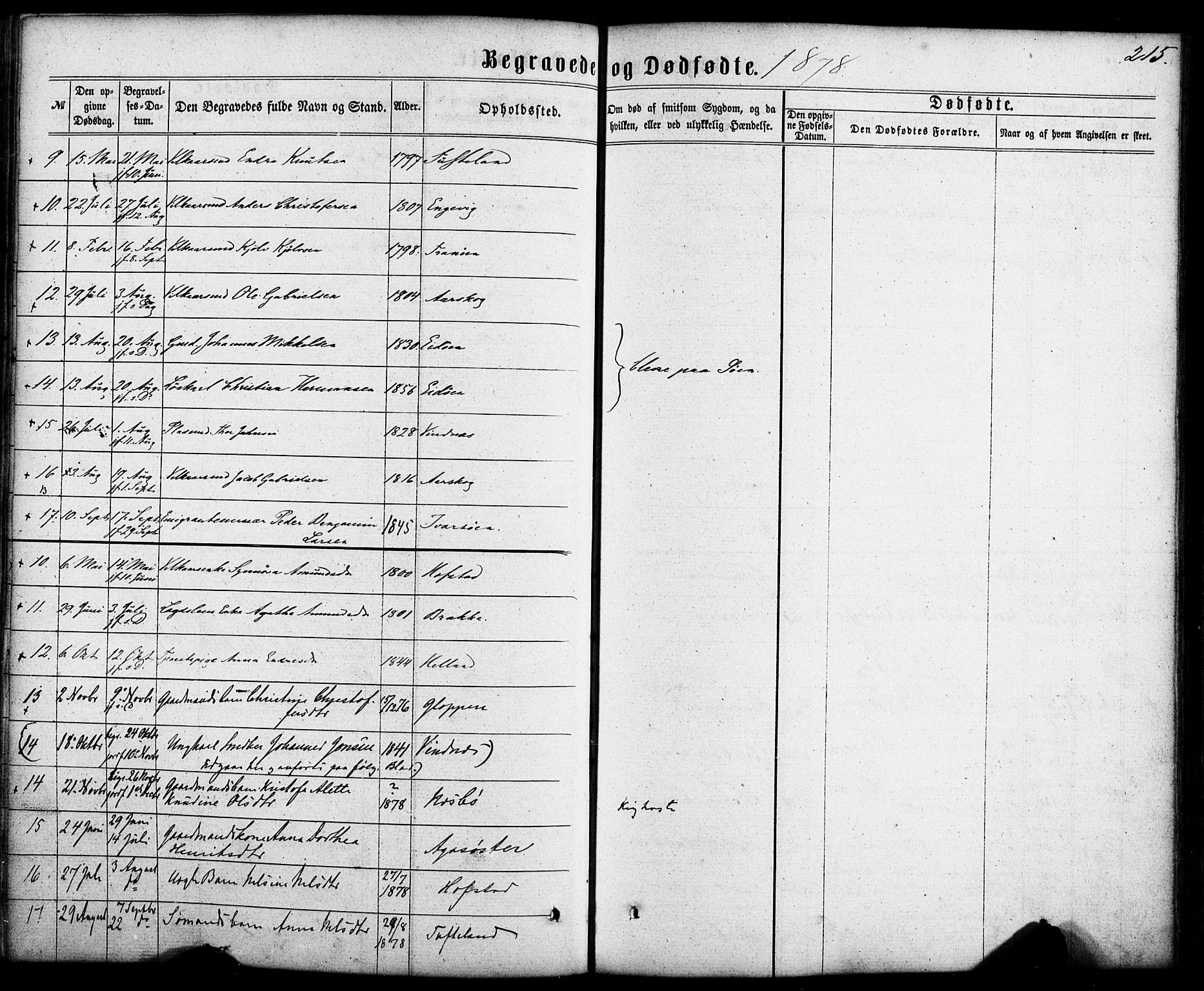Fitjar sokneprestembete, SAB/A-99926: Parish register (official) no. A 1, 1862-1881, p. 215