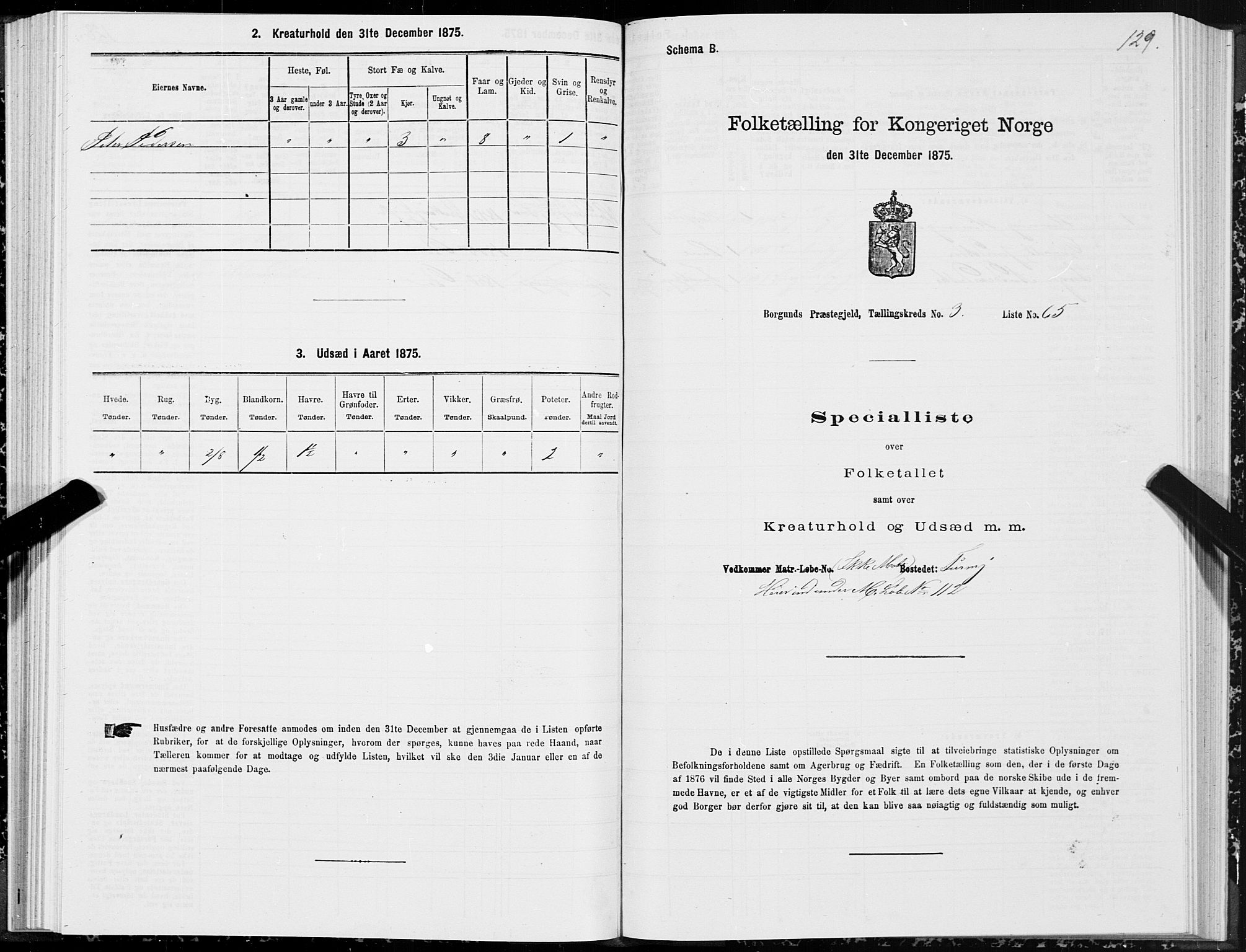 SAT, 1875 census for 1531P Borgund, 1875, p. 2129