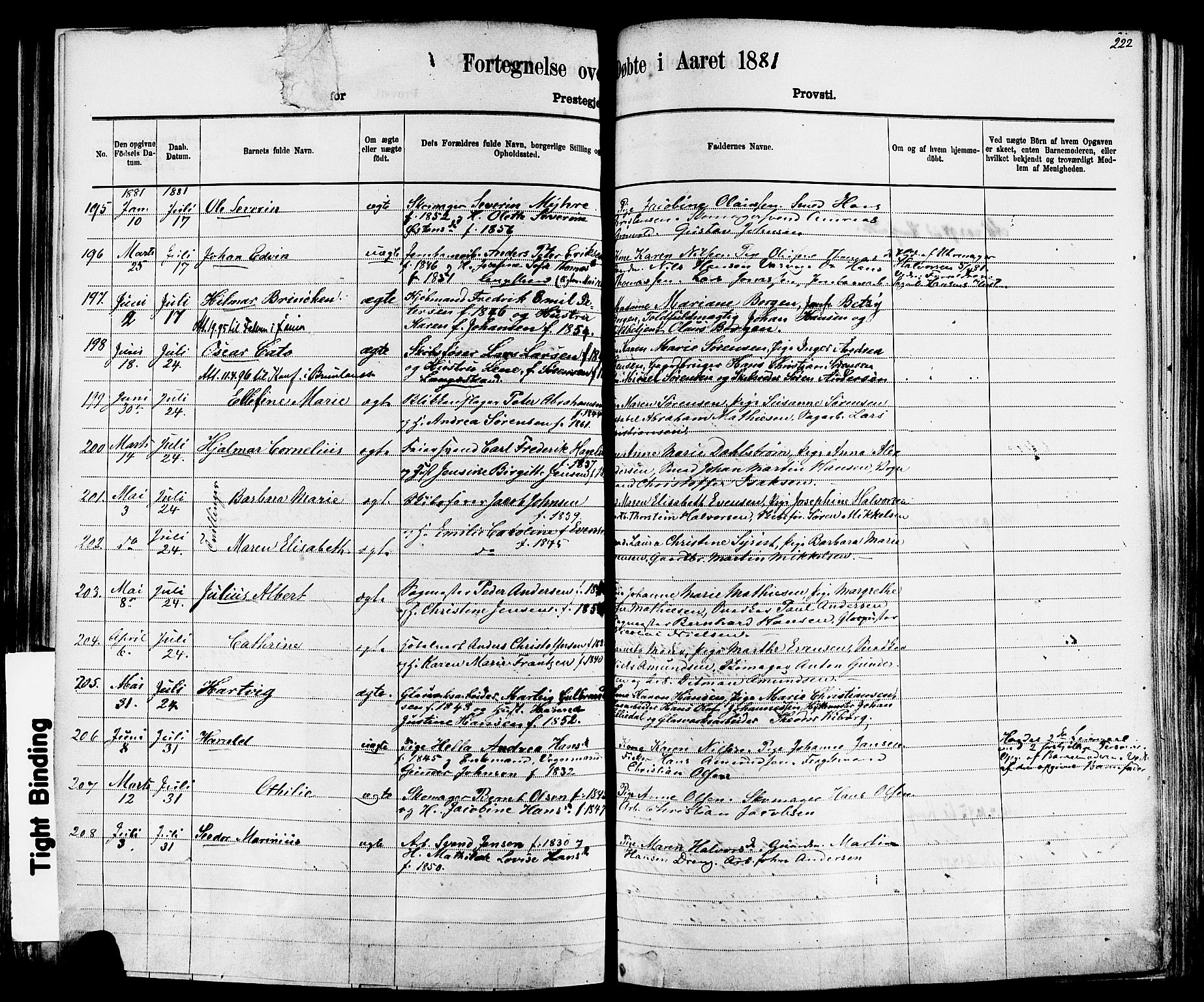 Larvik kirkebøker, AV/SAKO-A-352/F/Fa/L0006: Parish register (official) no. I 6, 1871-1883, p. 222