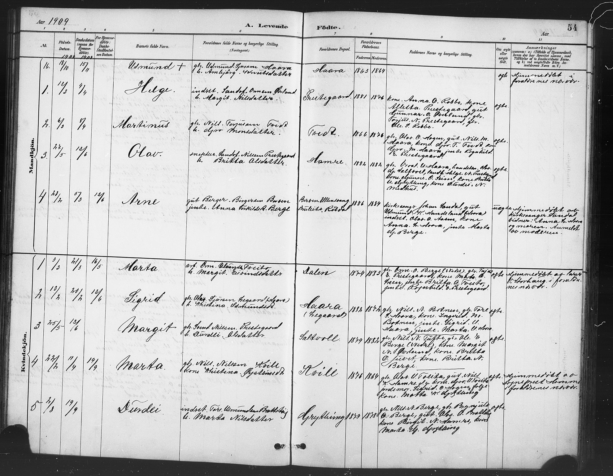 Røldal sokneprestembete, SAB/A-100247: Parish register (copy) no. A 3, 1887-1917, p. 54
