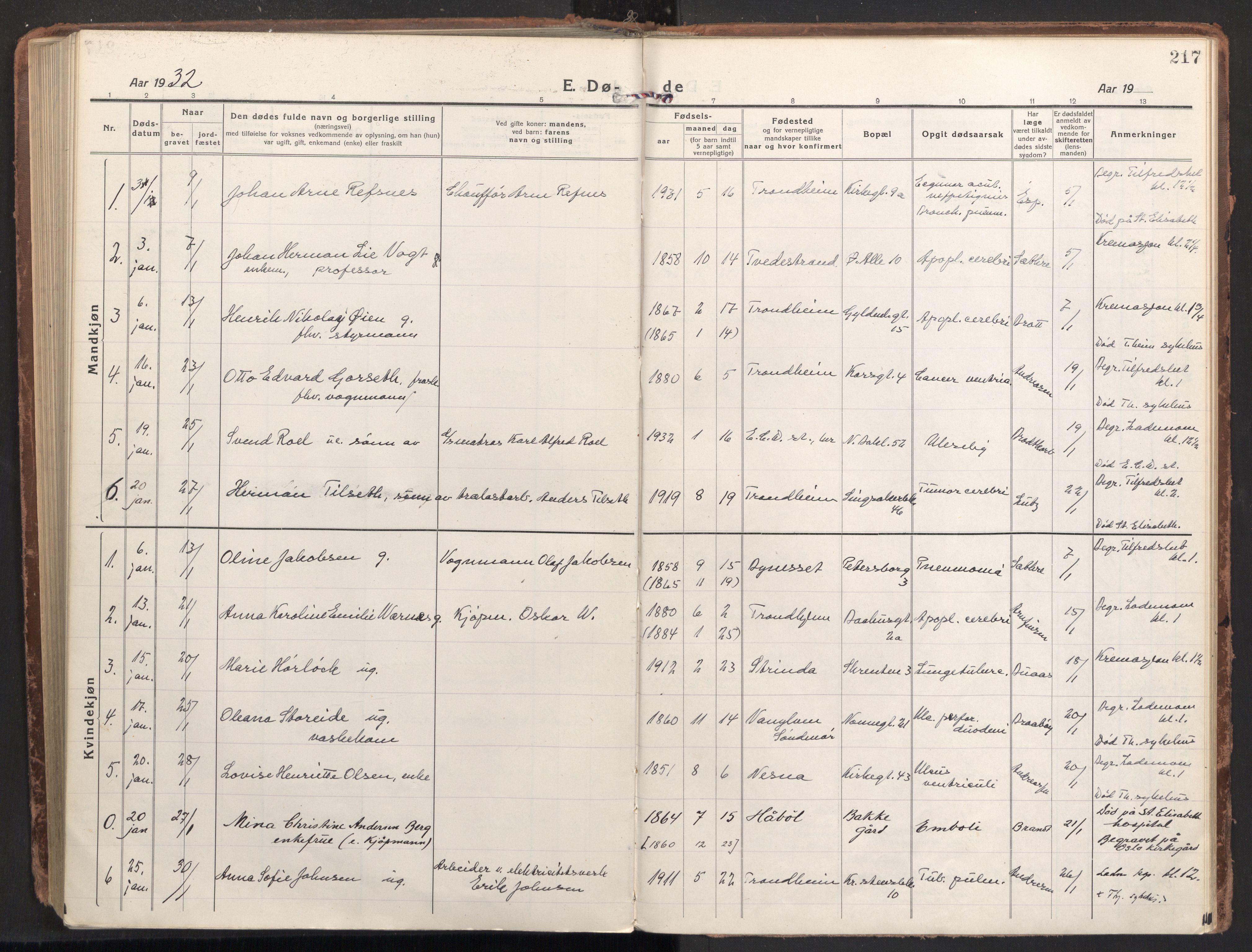 Ministerialprotokoller, klokkerbøker og fødselsregistre - Sør-Trøndelag, SAT/A-1456/604/L0207: Parish register (official) no. 604A27, 1917-1933, p. 217