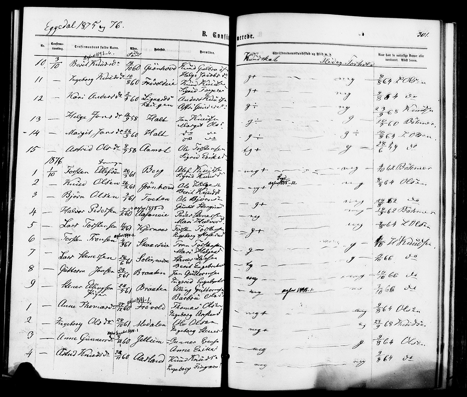 Sigdal kirkebøker, SAKO/A-245/F/Fa/L0010: Parish register (official) no. I 10 /3, 1872-1878, p. 301