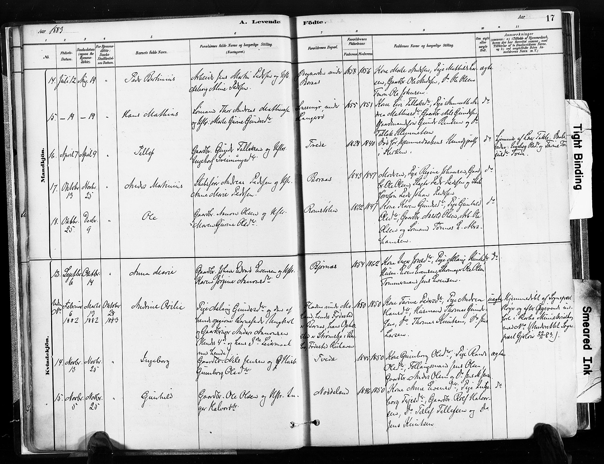 Austre Moland sokneprestkontor, AV/SAK-1111-0001/F/Fa/Faa/L0010: Parish register (official) no. A 10, 1880-1904, p. 17