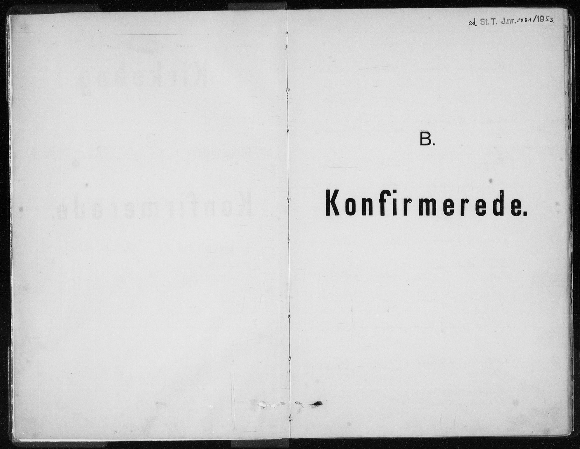 Ministerialprotokoller, klokkerbøker og fødselsregistre - Nordland, SAT/A-1459/843/L0637: Parish register (copy) no. 843C06, 1884-1908