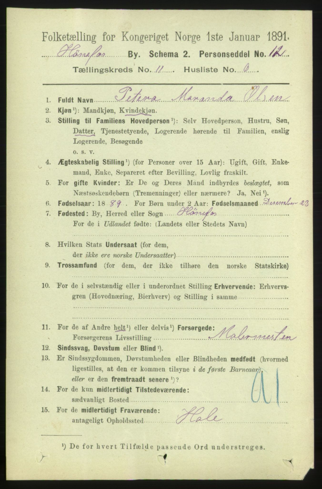 RA, 1891 census for 0601 Hønefoss, 1891, p. 1538