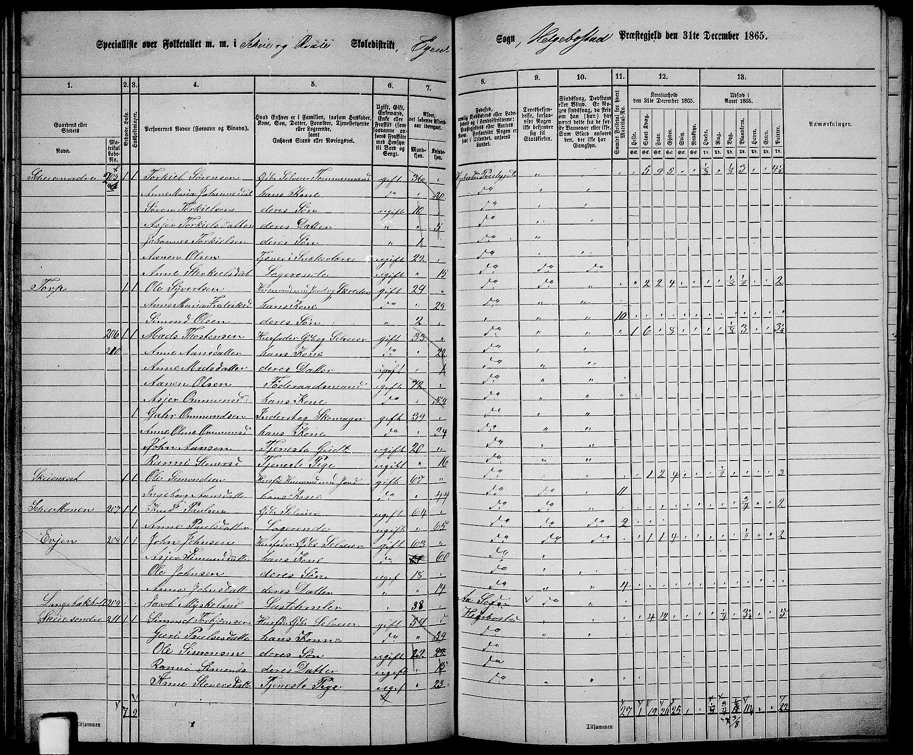 RA, 1865 census for Hægebostad, 1865, p. 68