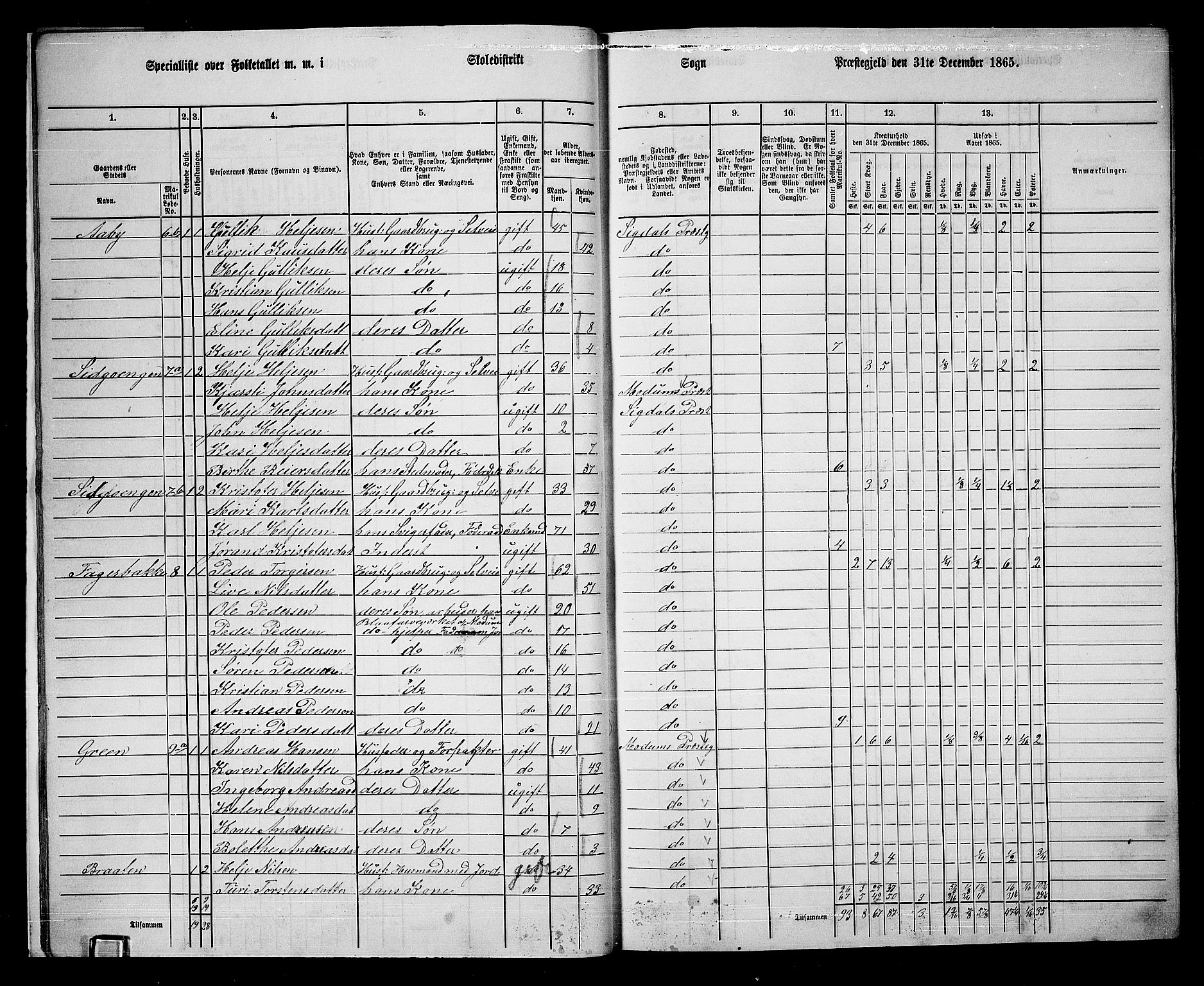 RA, 1865 census for Sigdal, 1865, p. 21