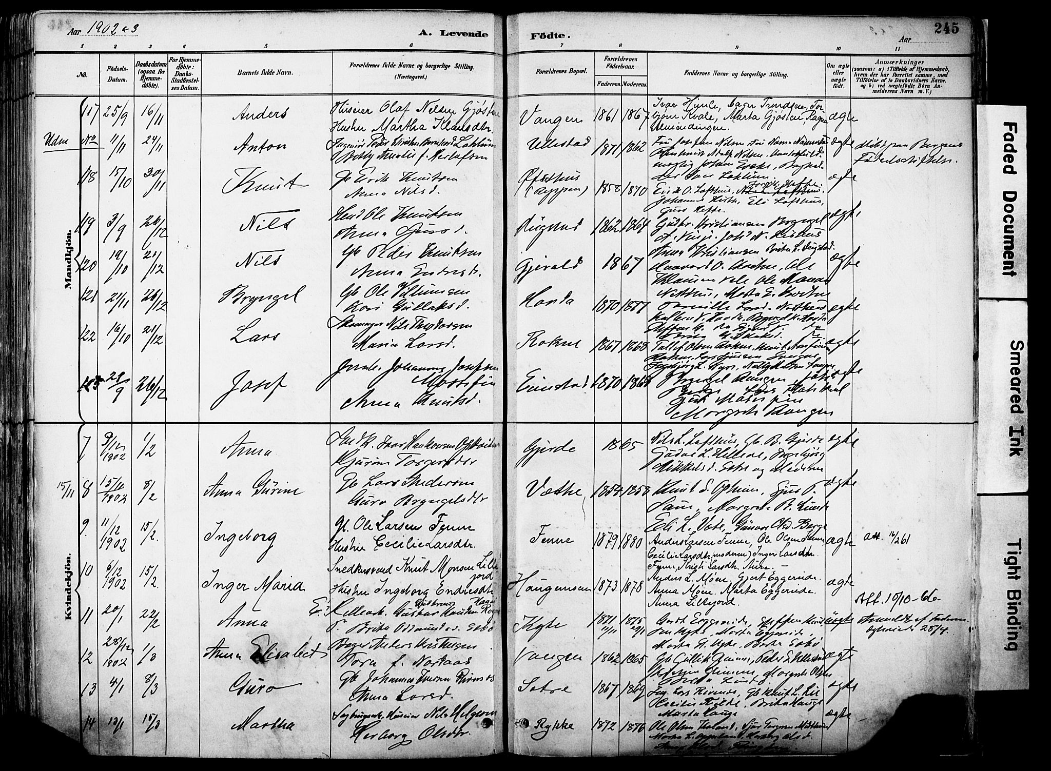 Voss sokneprestembete, AV/SAB-A-79001/H/Haa: Parish register (official) no. A 21, 1887-1903, p. 245