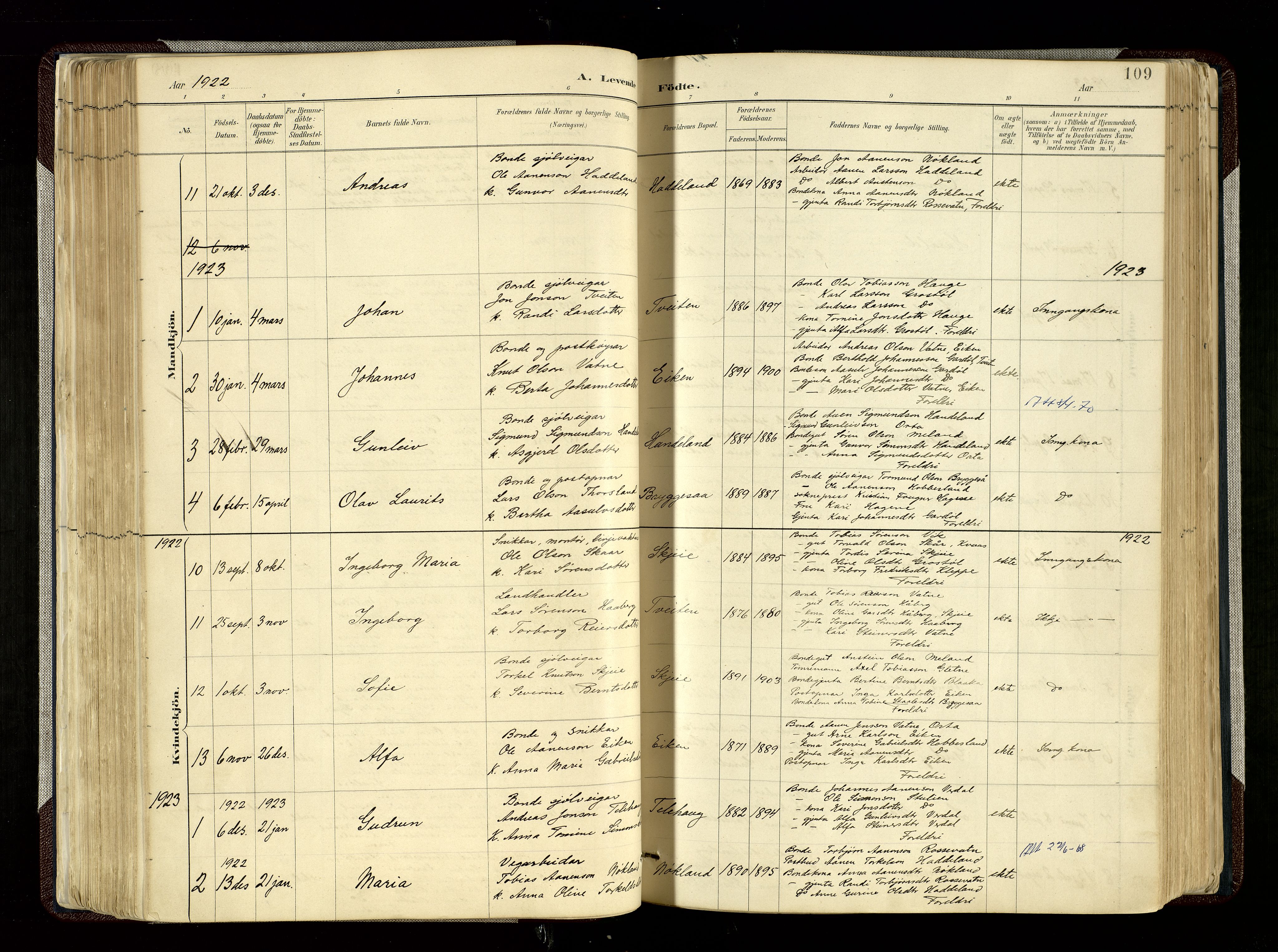 Hægebostad sokneprestkontor, SAK/1111-0024/F/Fa/Fab/L0004: Parish register (official) no. A 4, 1887-1929, p. 109