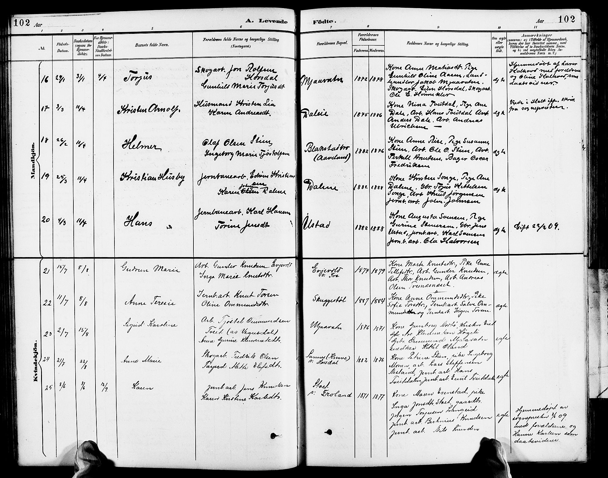 Froland sokneprestkontor, AV/SAK-1111-0013/F/Fb/L0010: Parish register (copy) no. B 10, 1893-1920, p. 102