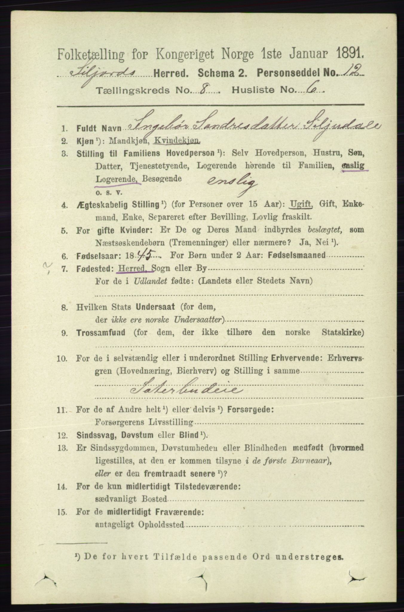 RA, 1891 census for 0828 Seljord, 1891, p. 2907