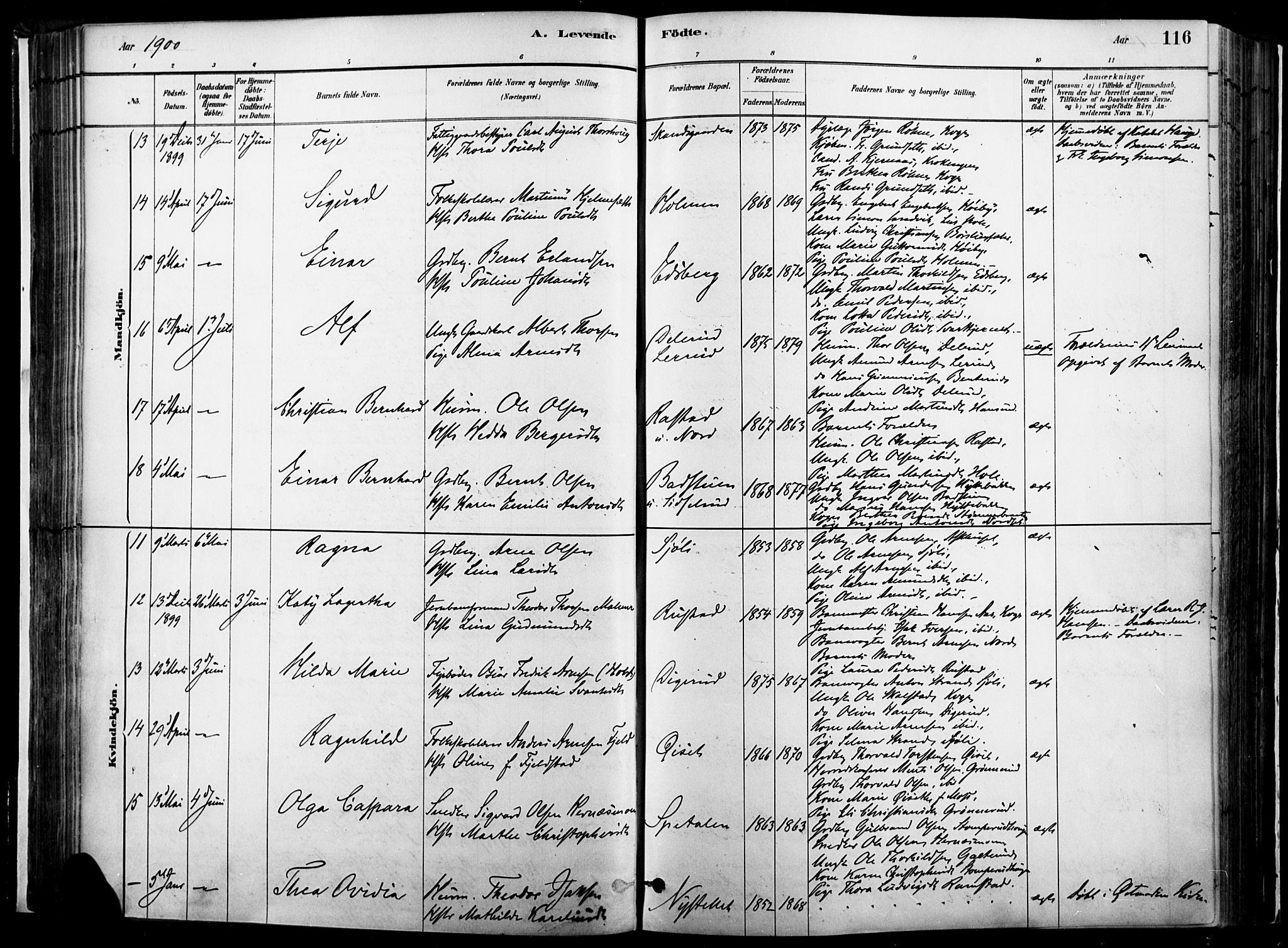 Vinger prestekontor, AV/SAH-PREST-024/H/Ha/Haa/L0014: Parish register (official) no. 14, 1881-1900, p. 116