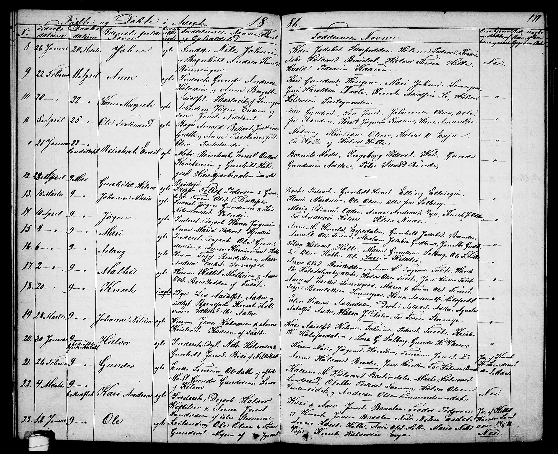 Drangedal kirkebøker, SAKO/A-258/G/Ga/L0002: Parish register (copy) no. I 2, 1856-1887, p. 171