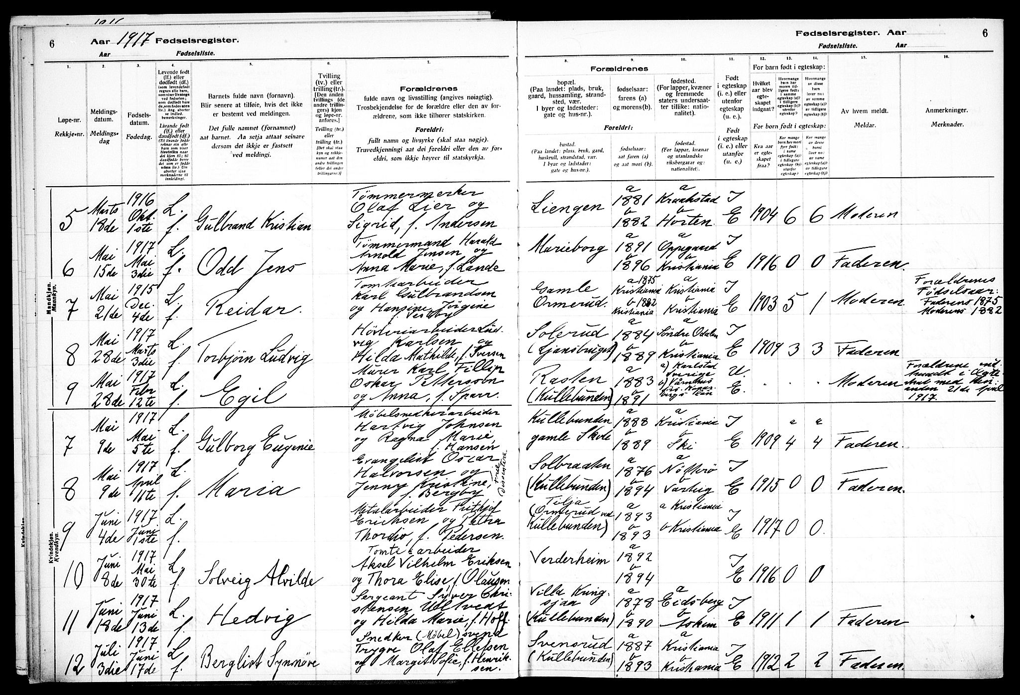 Nesodden prestekontor Kirkebøker, SAO/A-10013/J/Jb/L0001: Birth register no. II 1, 1916-1933, p. 6