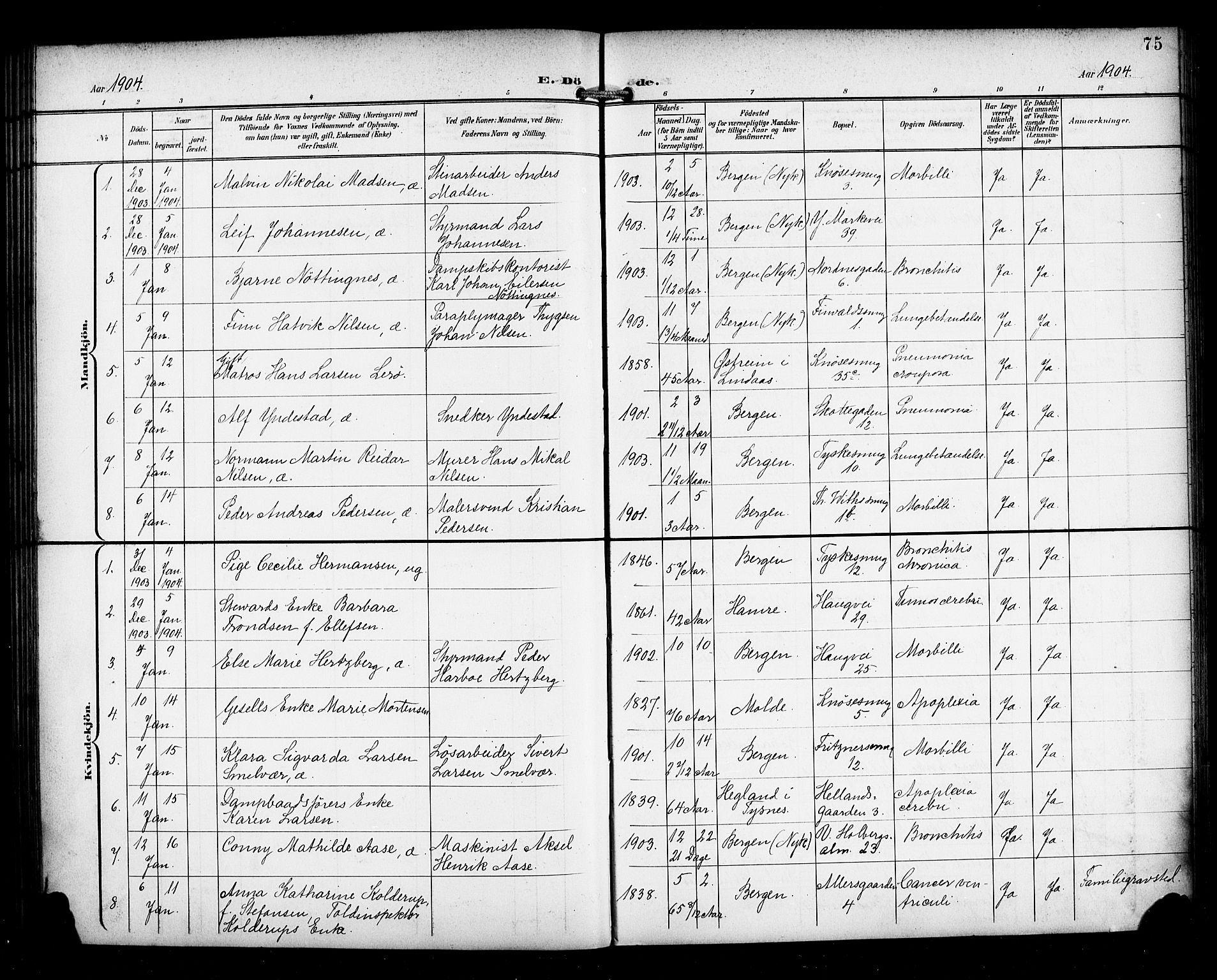 Nykirken Sokneprestembete, AV/SAB-A-77101/H/Haa/L0045: Parish register (official) no. E 5, 1899-1917, p. 75