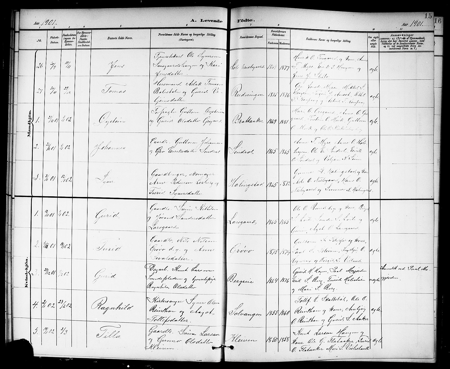 Hol kirkebøker, AV/SAKO-A-227/G/Ga/L0001: Parish register (copy) no. I 1, 1900-1919, p. 15