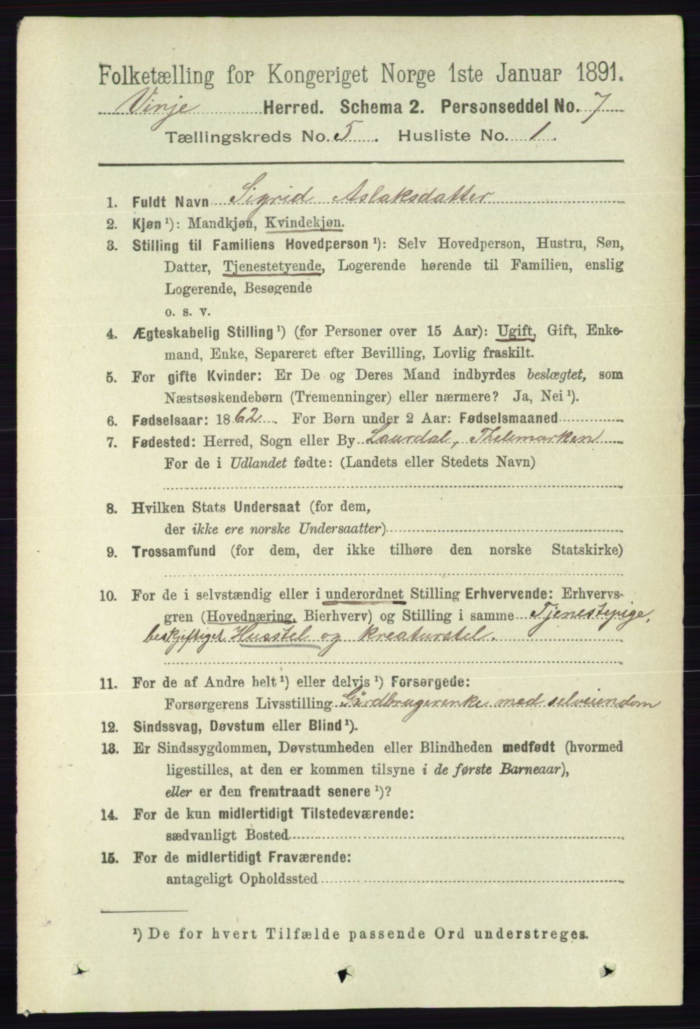 RA, 1891 census for 0834 Vinje, 1891, p. 1054