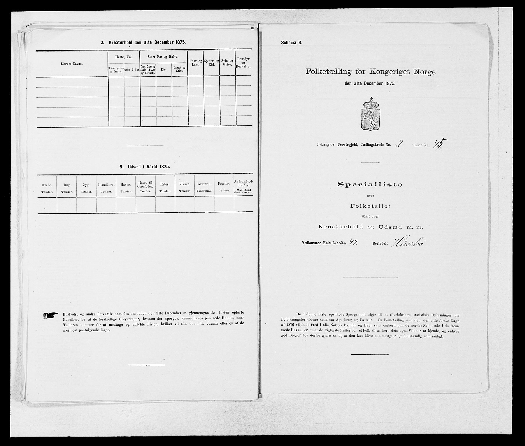 SAB, 1875 census for 1419P Leikanger, 1875, p. 191