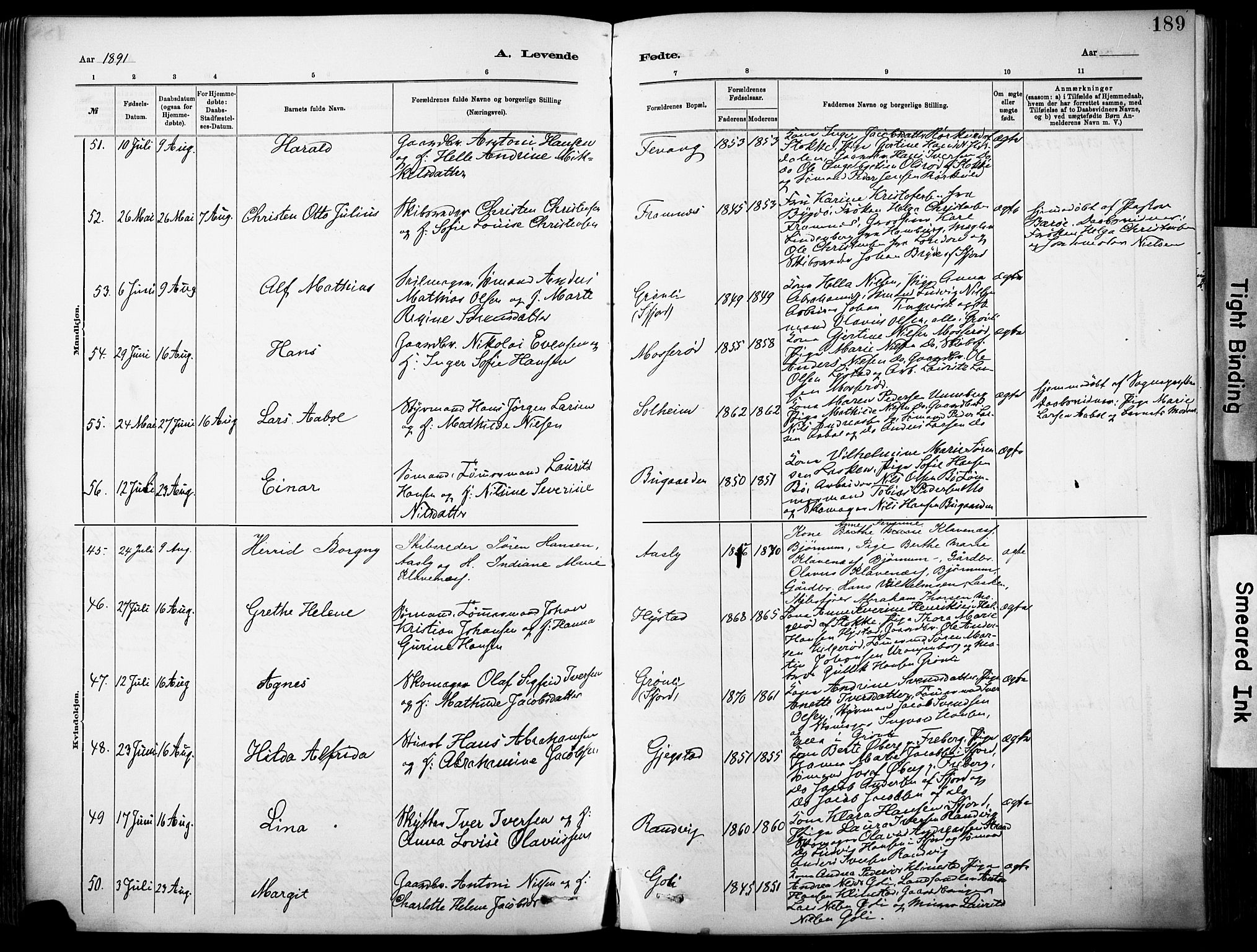Sandar kirkebøker, SAKO/A-243/F/Fa/L0012: Parish register (official) no. 12, 1883-1895, p. 189
