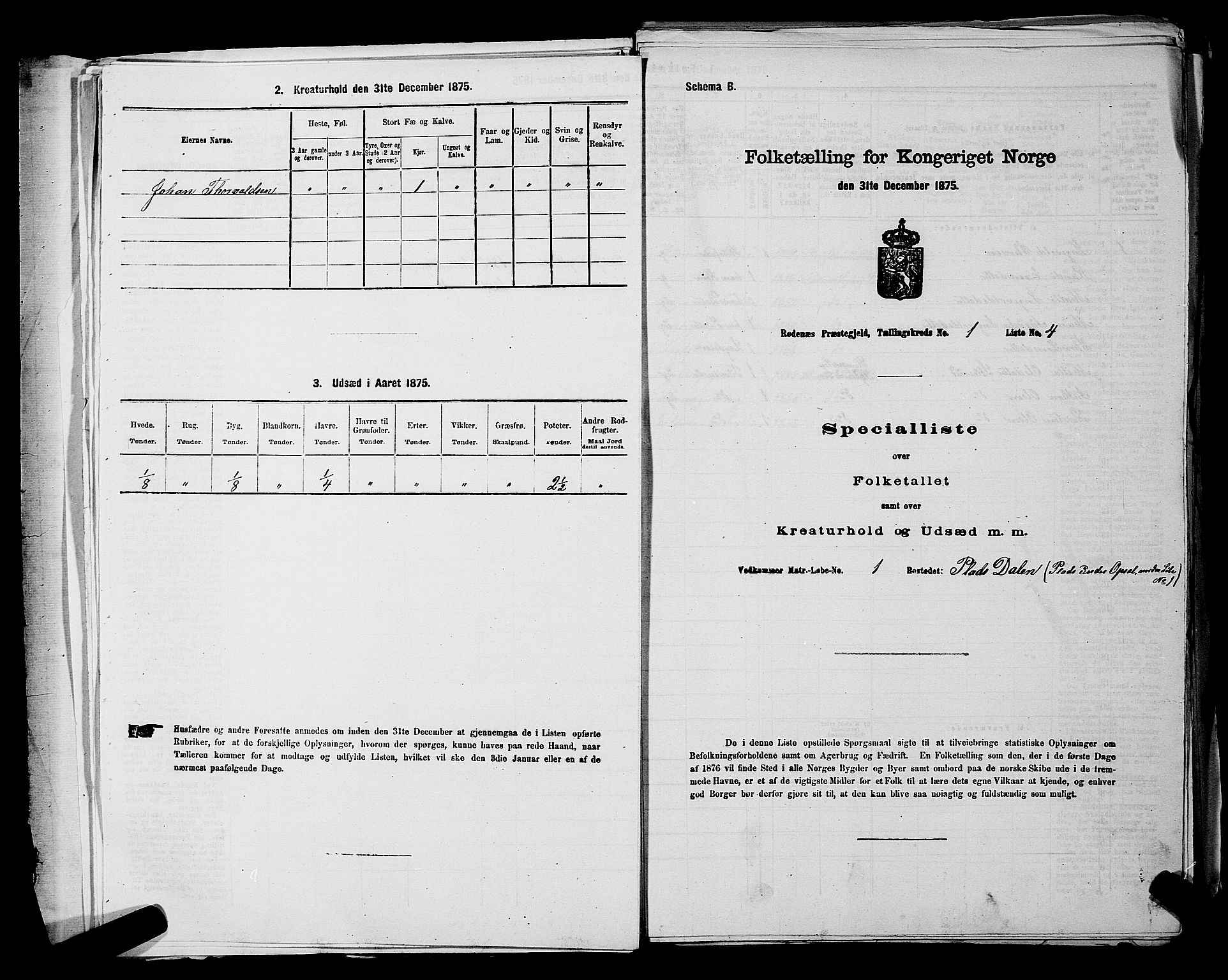 RA, 1875 census for 0120P Rødenes, 1875, p. 45