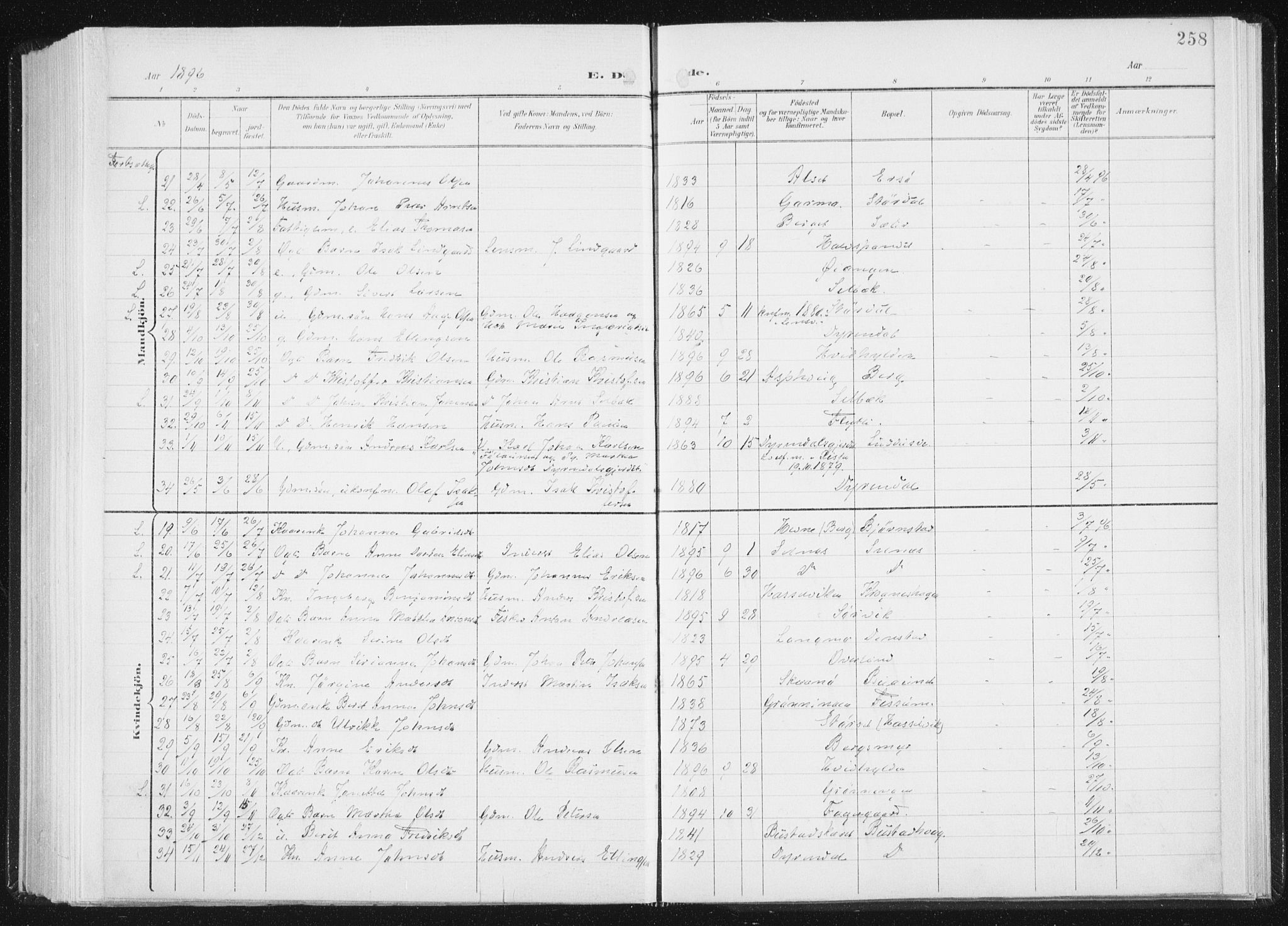 Ministerialprotokoller, klokkerbøker og fødselsregistre - Sør-Trøndelag, AV/SAT-A-1456/647/L0635: Parish register (official) no. 647A02, 1896-1911, p. 258