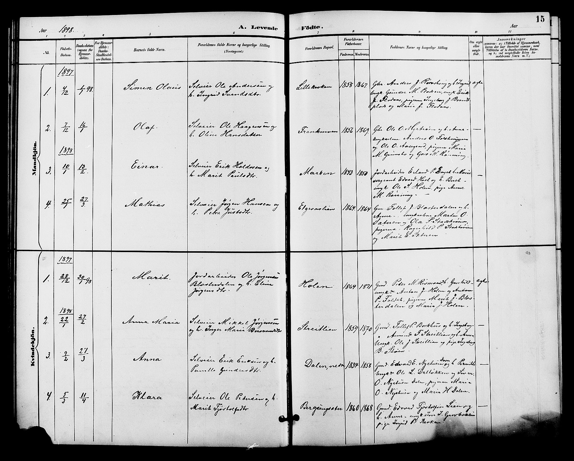 Alvdal prestekontor, SAH/PREST-060/H/Ha/Hab/L0004: Parish register (copy) no. 4, 1894-1910, p. 15