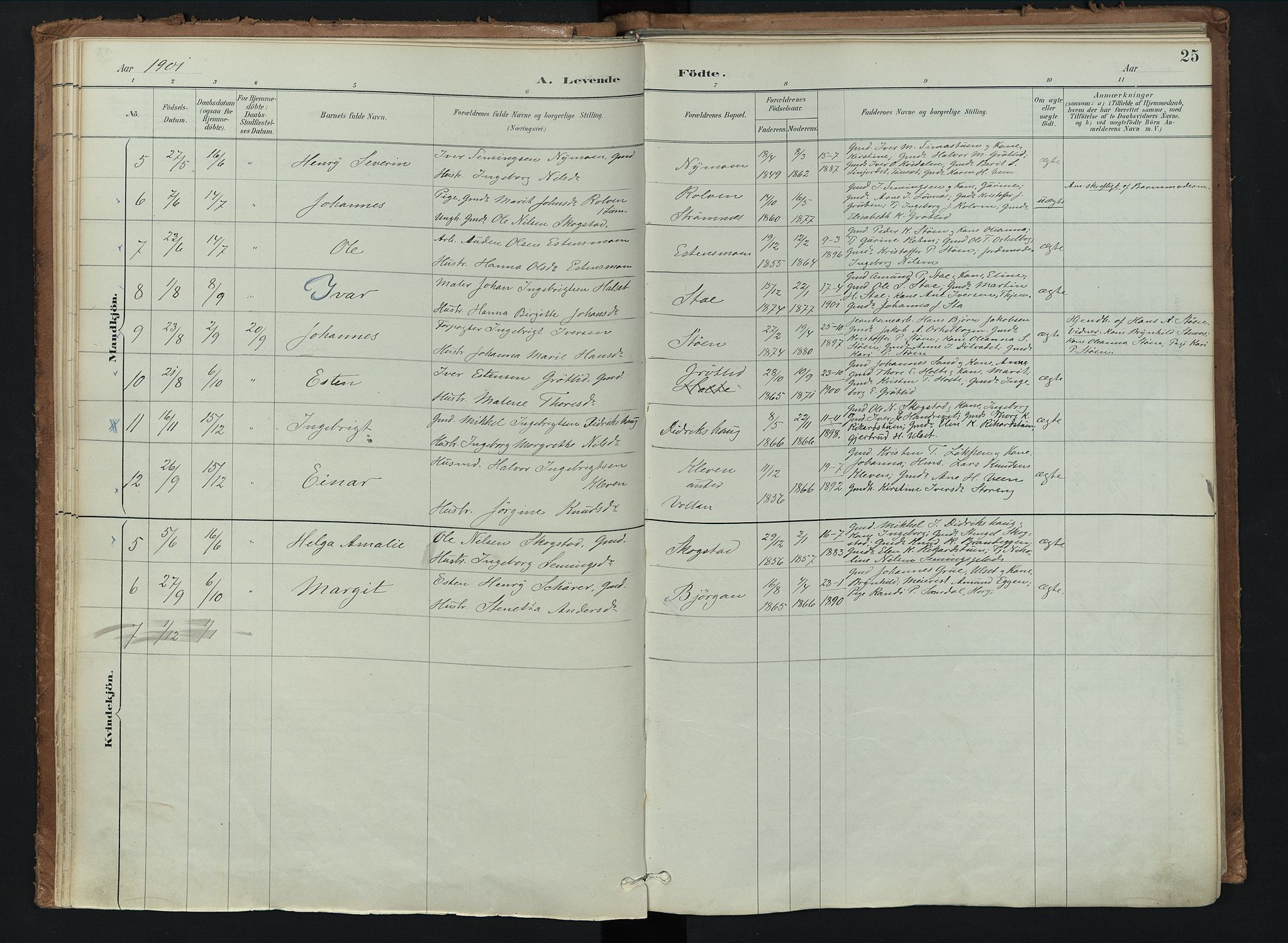 Kvikne prestekontor, AV/SAH-PREST-064/H/Ha/Haa/L0008: Parish register (official) no. 8, 1887-1911, p. 25