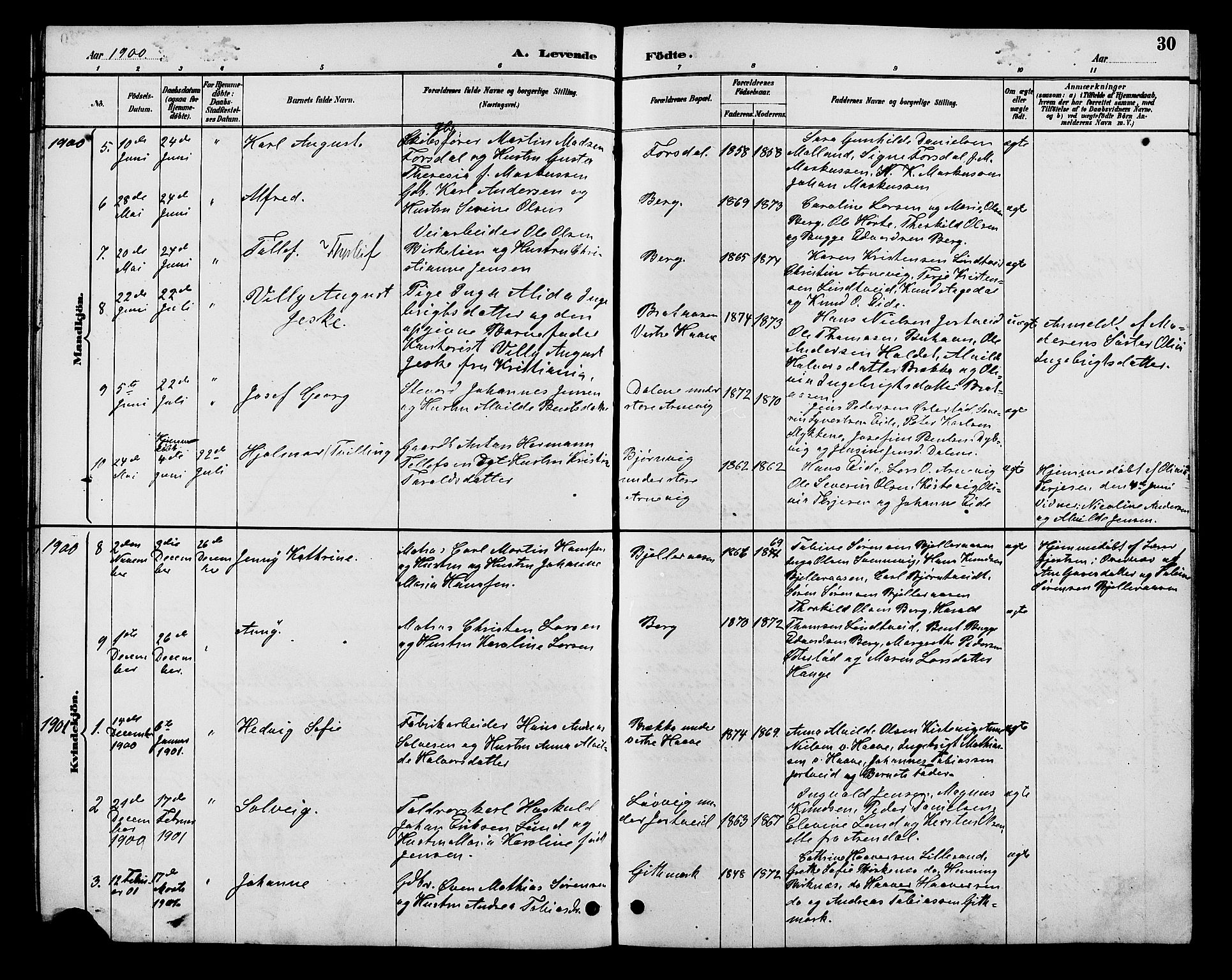 Hommedal sokneprestkontor, AV/SAK-1111-0023/F/Fb/Fba/L0004: Parish register (copy) no. B 4, 1885-1908, p. 30
