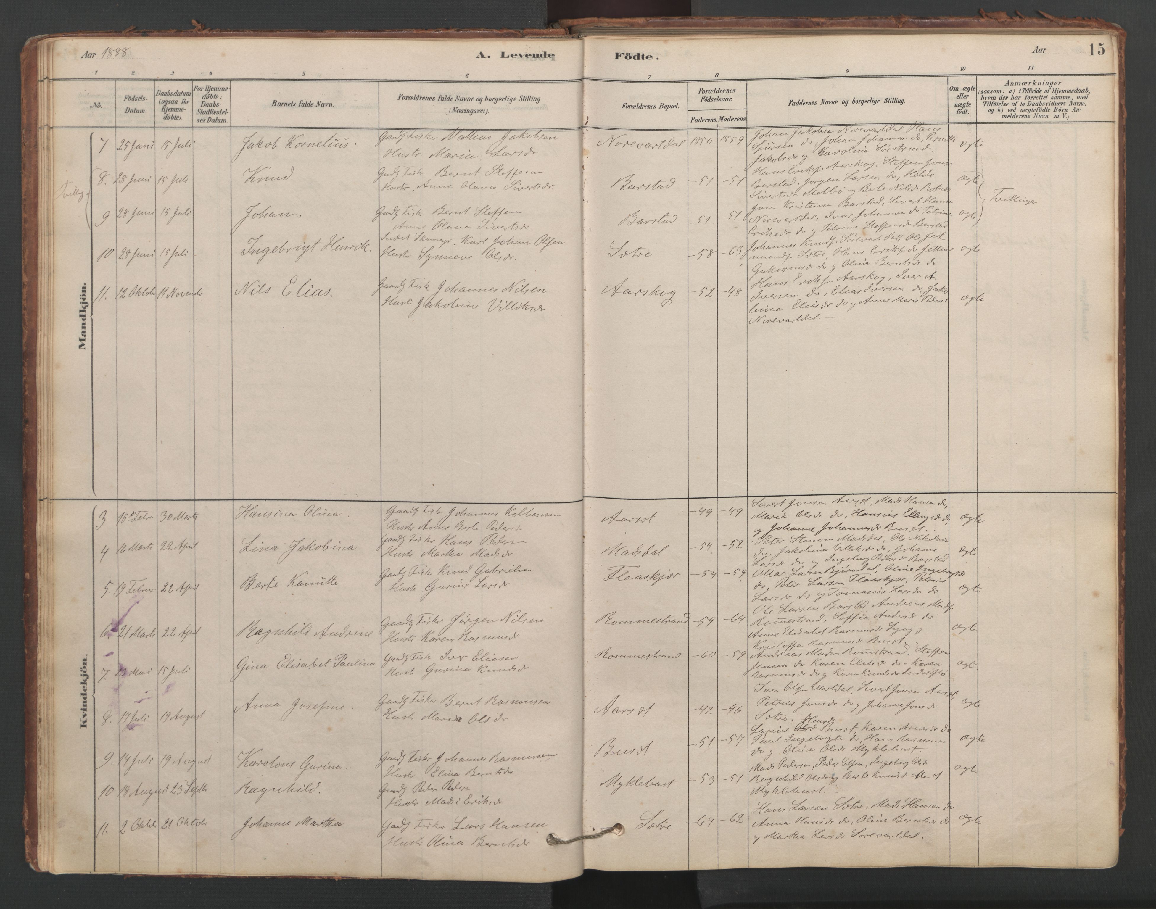 Ministerialprotokoller, klokkerbøker og fødselsregistre - Møre og Romsdal, AV/SAT-A-1454/514/L0201: Parish register (copy) no. 514C01, 1878-1919, p. 15