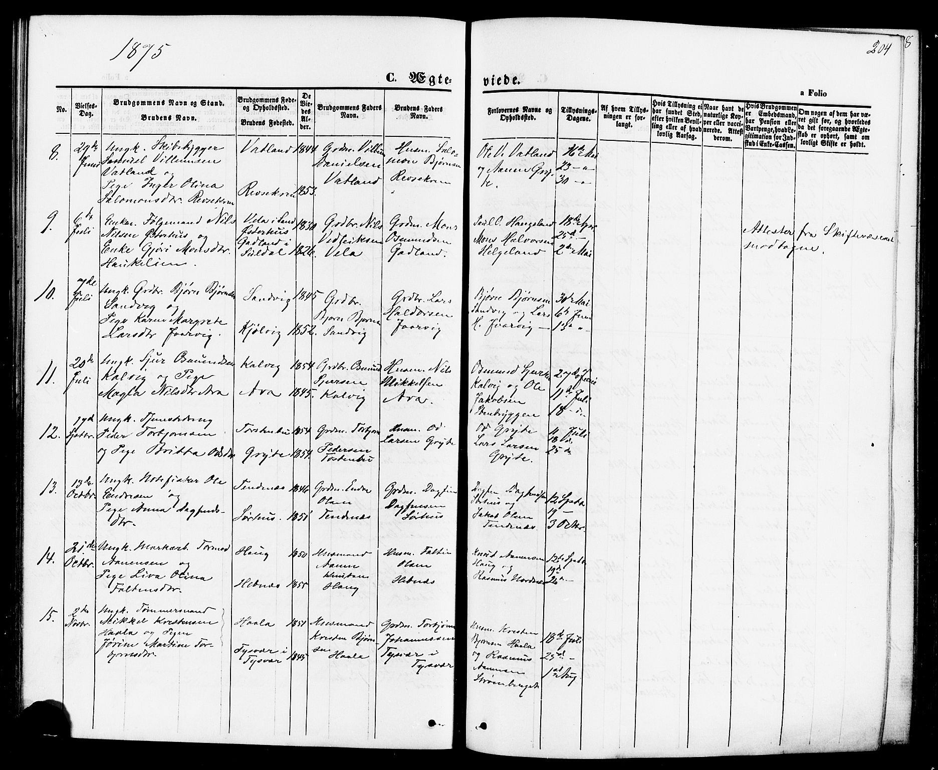 Jelsa sokneprestkontor, AV/SAST-A-101842/01/IV: Parish register (official) no. A 8, 1867-1883, p. 204