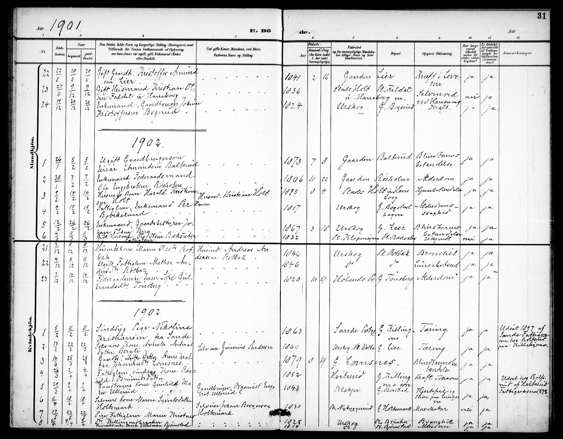 Aurskog prestekontor Kirkebøker, SAO/A-10304a/F/Fa/L0013: Parish register (official) no. I 13, 1900-1910, p. 31