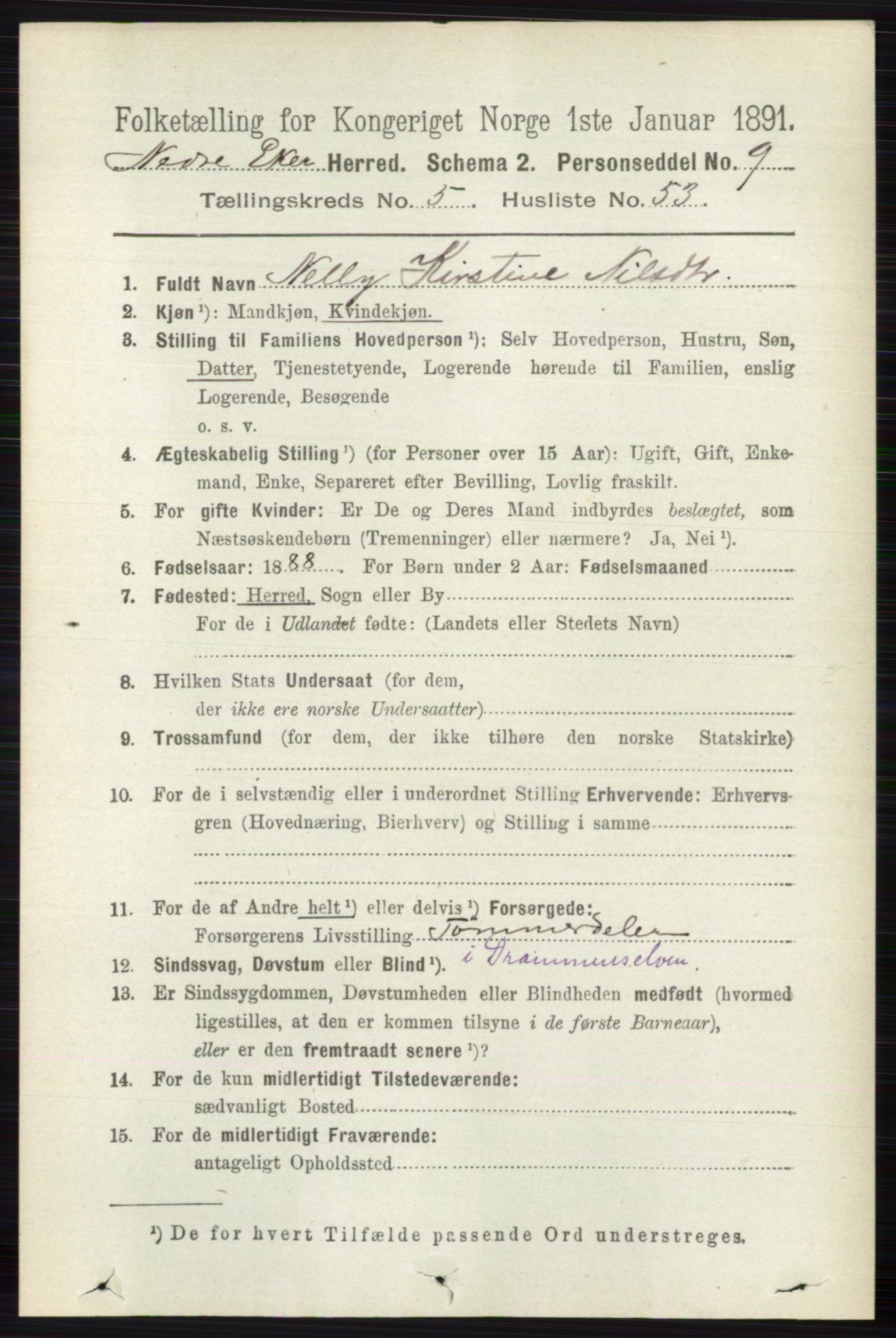 RA, 1891 census for 0625 Nedre Eiker, 1891, p. 2655