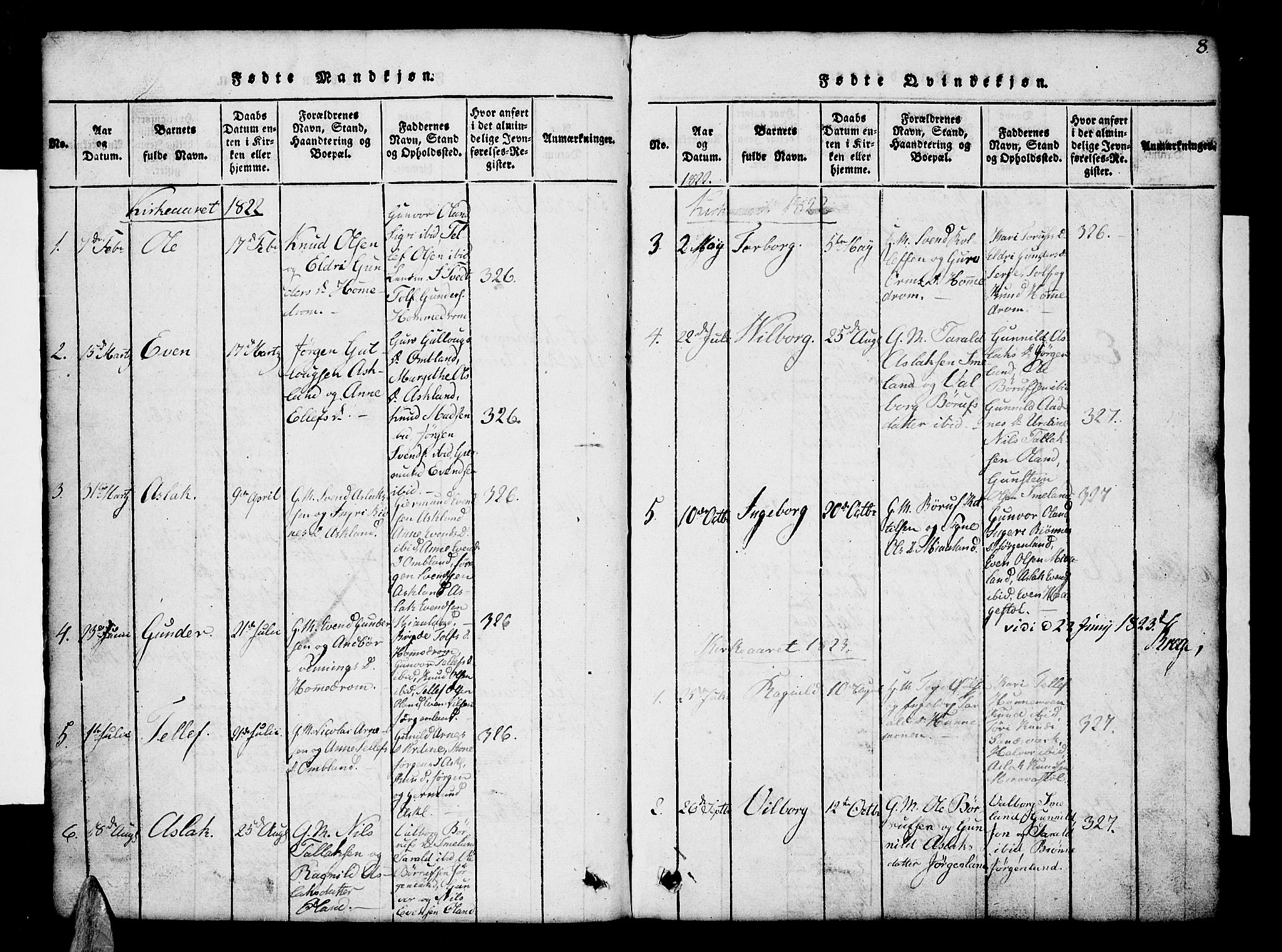 Åmli sokneprestkontor, AV/SAK-1111-0050/F/Fb/Fba/L0001: Parish register (copy) no. B 1, 1816-1890, p. 8