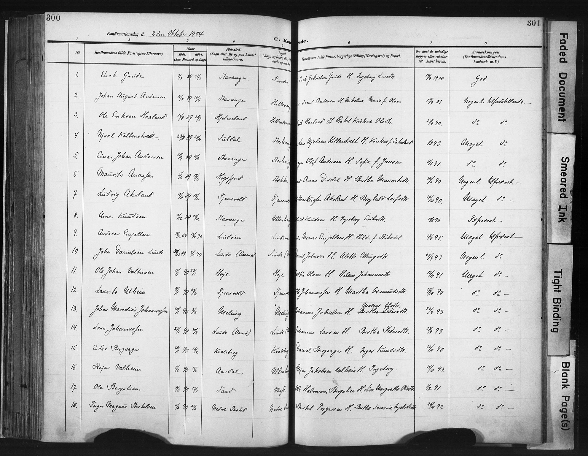 Hetland sokneprestkontor, SAST/A-101826/30/30BA/L0013: Parish register (official) no. A 13, 1904-1918, p. 300-301