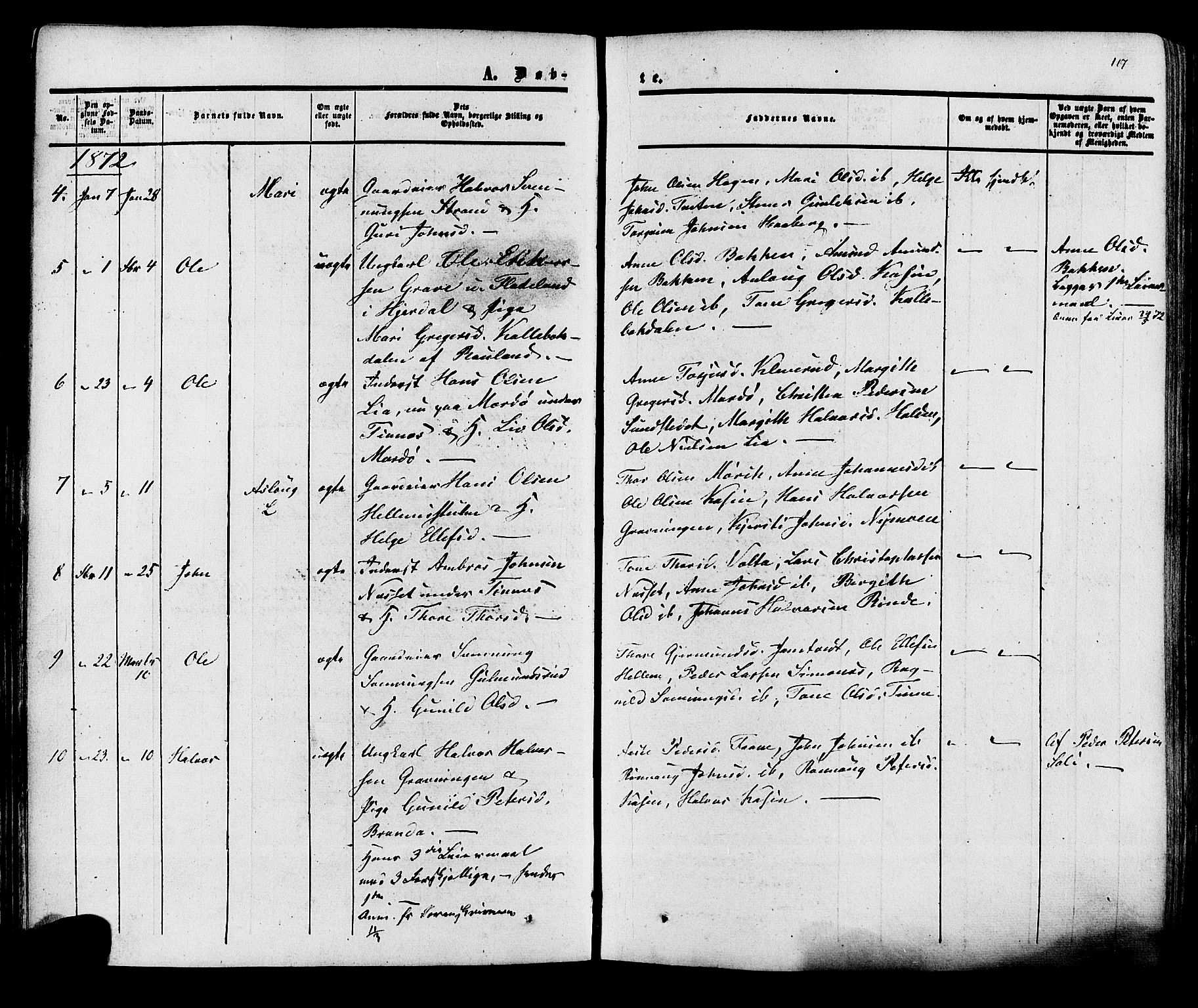 Heddal kirkebøker, SAKO/A-268/F/Fa/L0007: Parish register (official) no. I 7, 1855-1877, p. 117