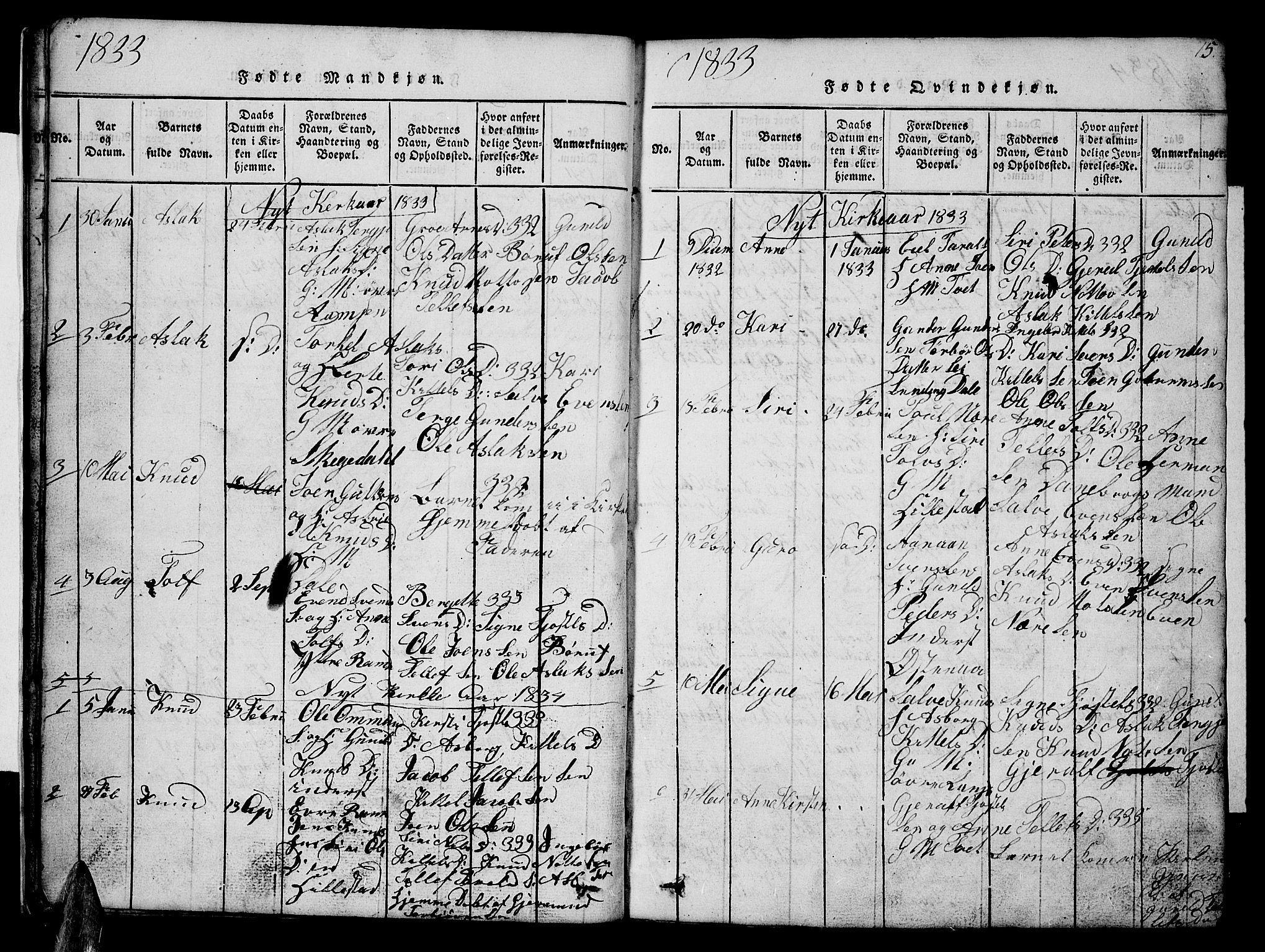 Åmli sokneprestkontor, AV/SAK-1111-0050/F/Fb/Fbb/L0001: Parish register (copy) no. B 1, 1816-1889, p. 15