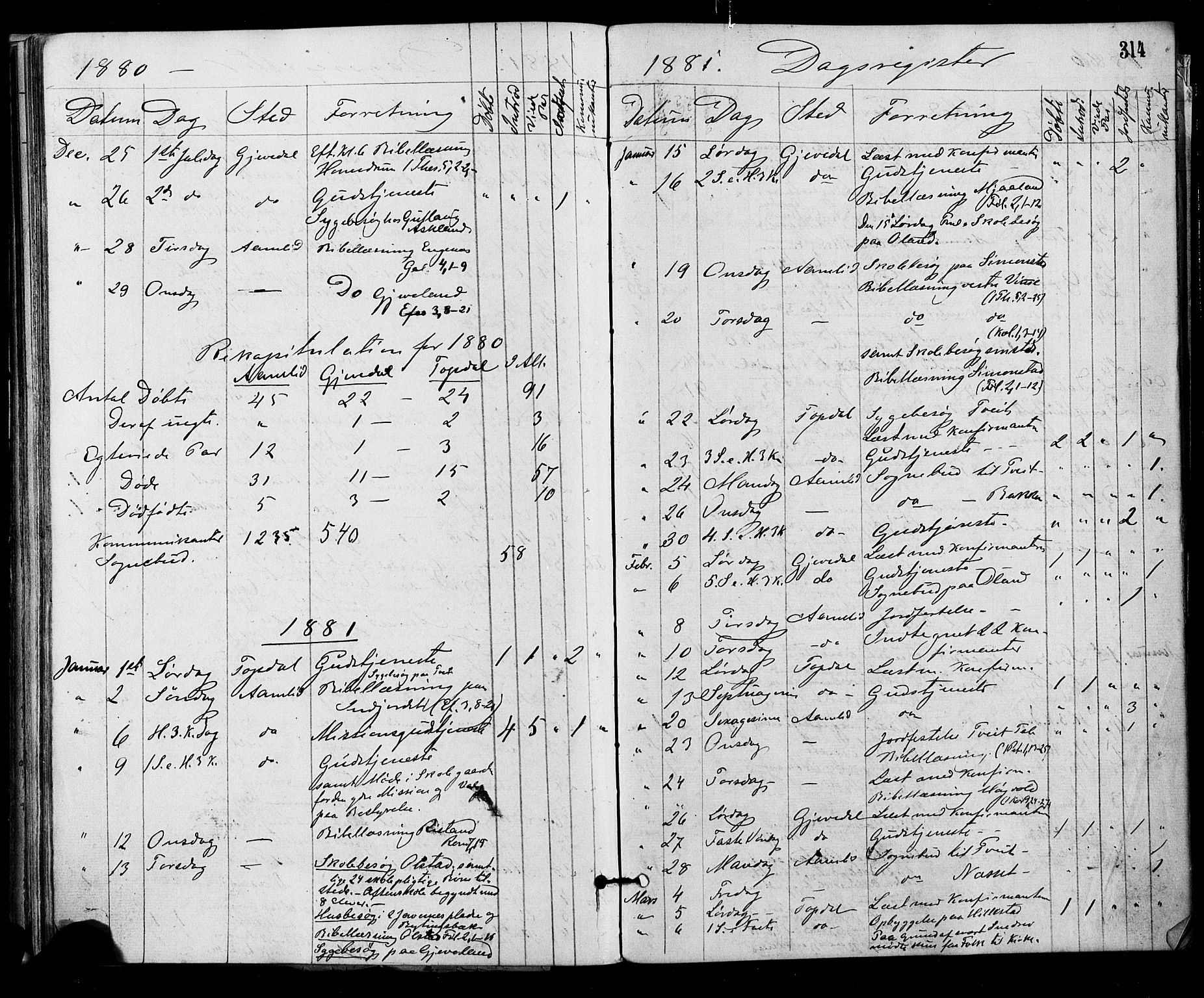 Åmli sokneprestkontor, AV/SAK-1111-0050/F/Fa/Fac/L0009: Parish register (official) no. A 9 /1, 1869-1884, p. 314