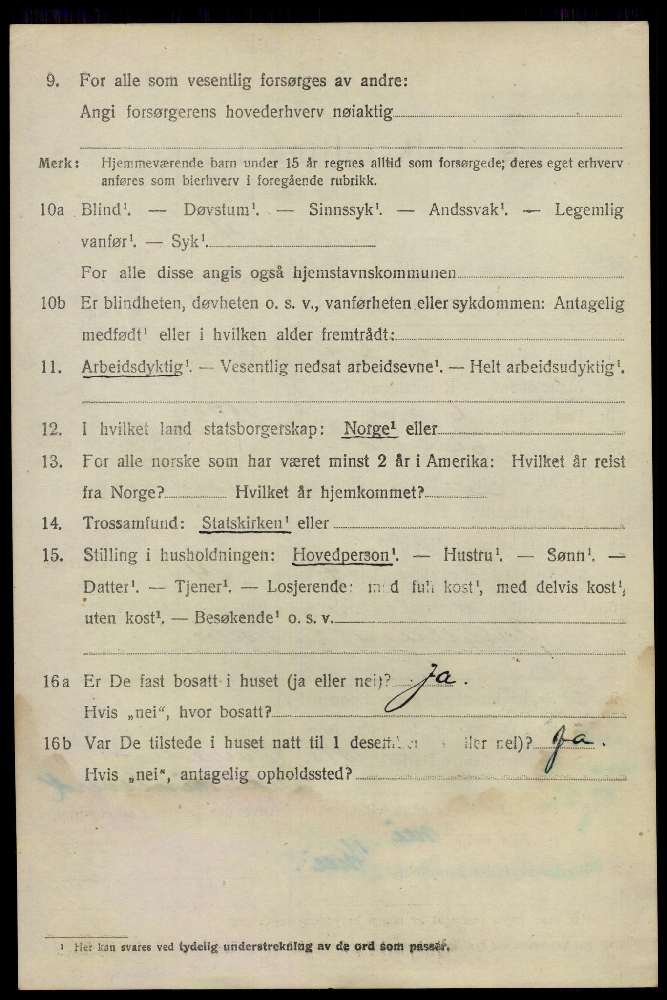 SAO, 1920 census for Nes, 1920, p. 19115