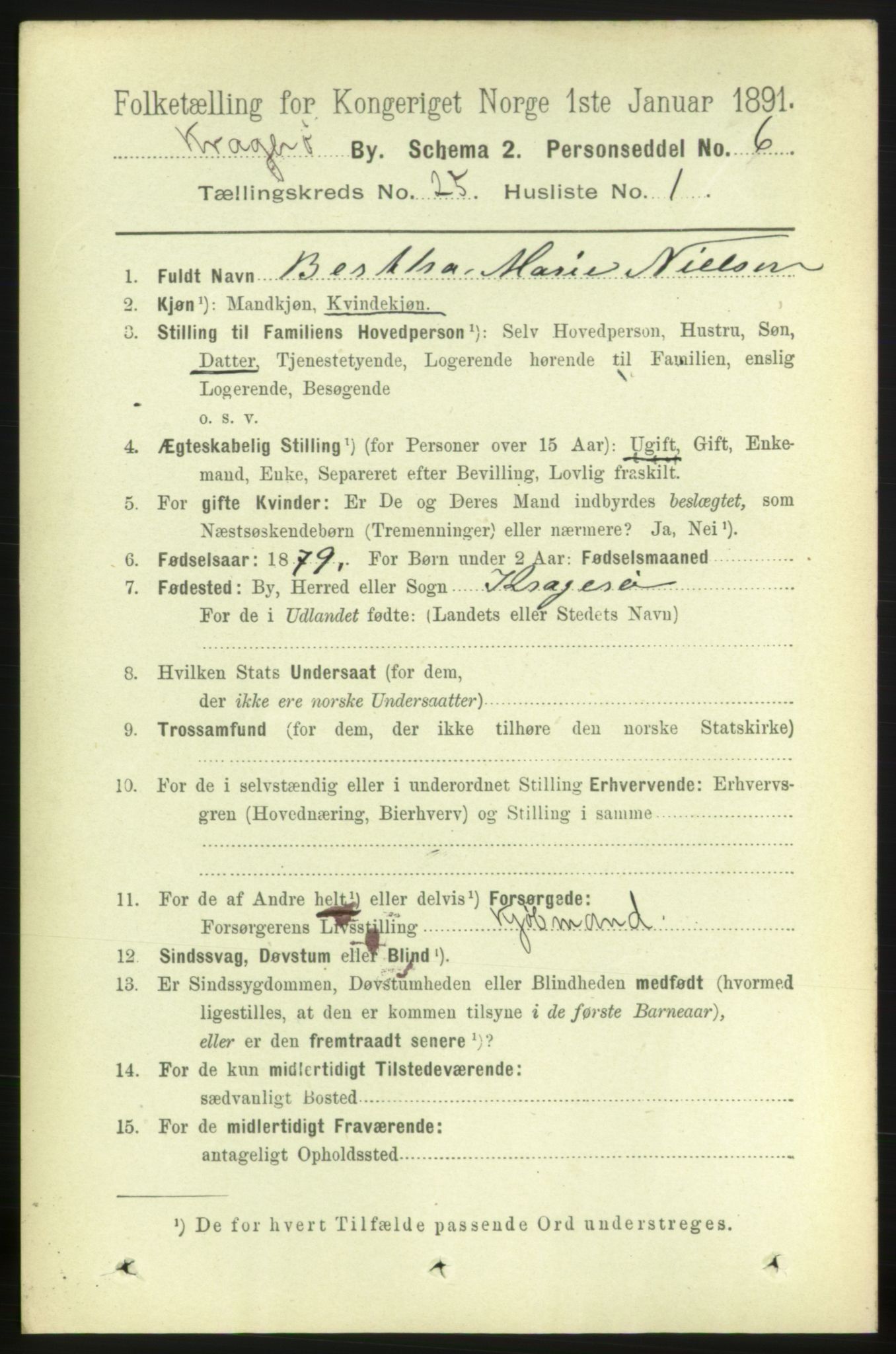 RA, 1891 census for 0801 Kragerø, 1891, p. 5089