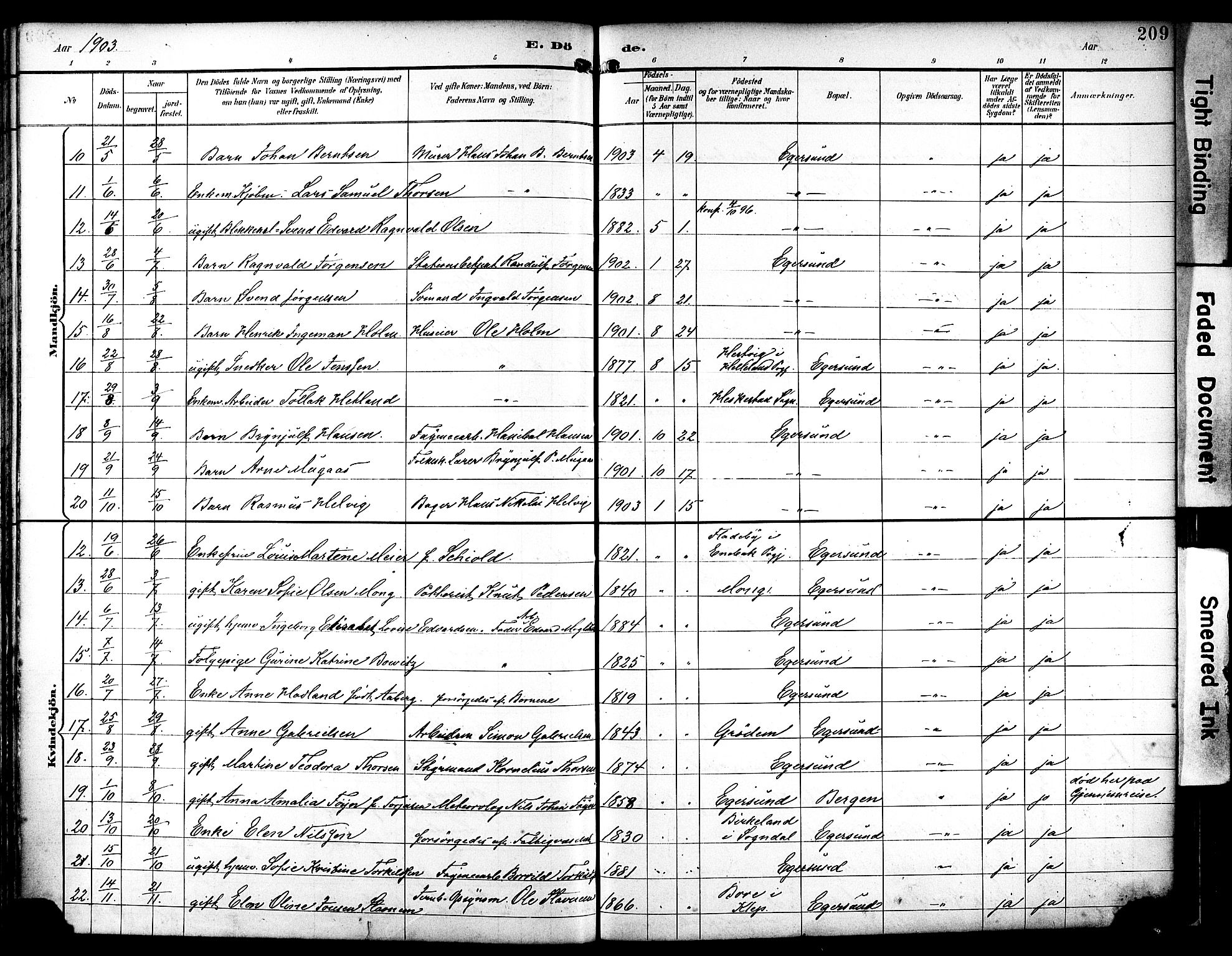 Eigersund sokneprestkontor, AV/SAST-A-101807/S08/L0019: Parish register (official) no. A 18, 1892-1905, p. 209