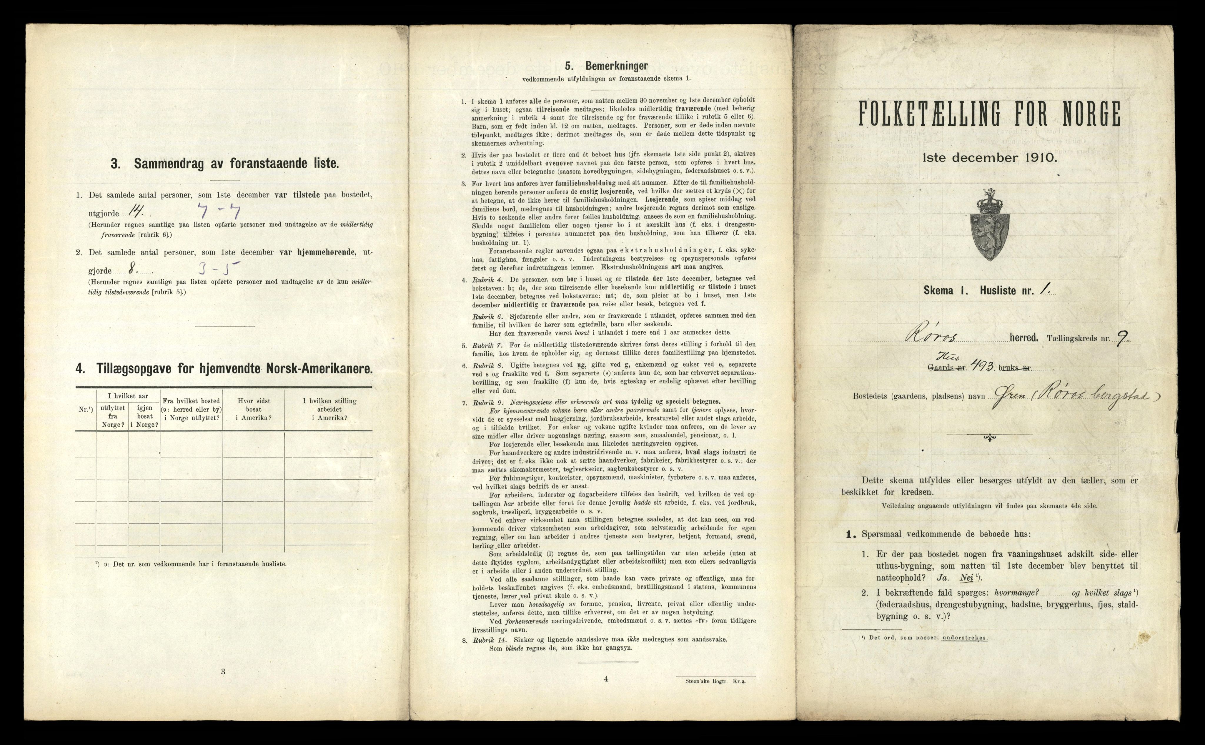 RA, 1910 census for Røros, 1910, p. 871